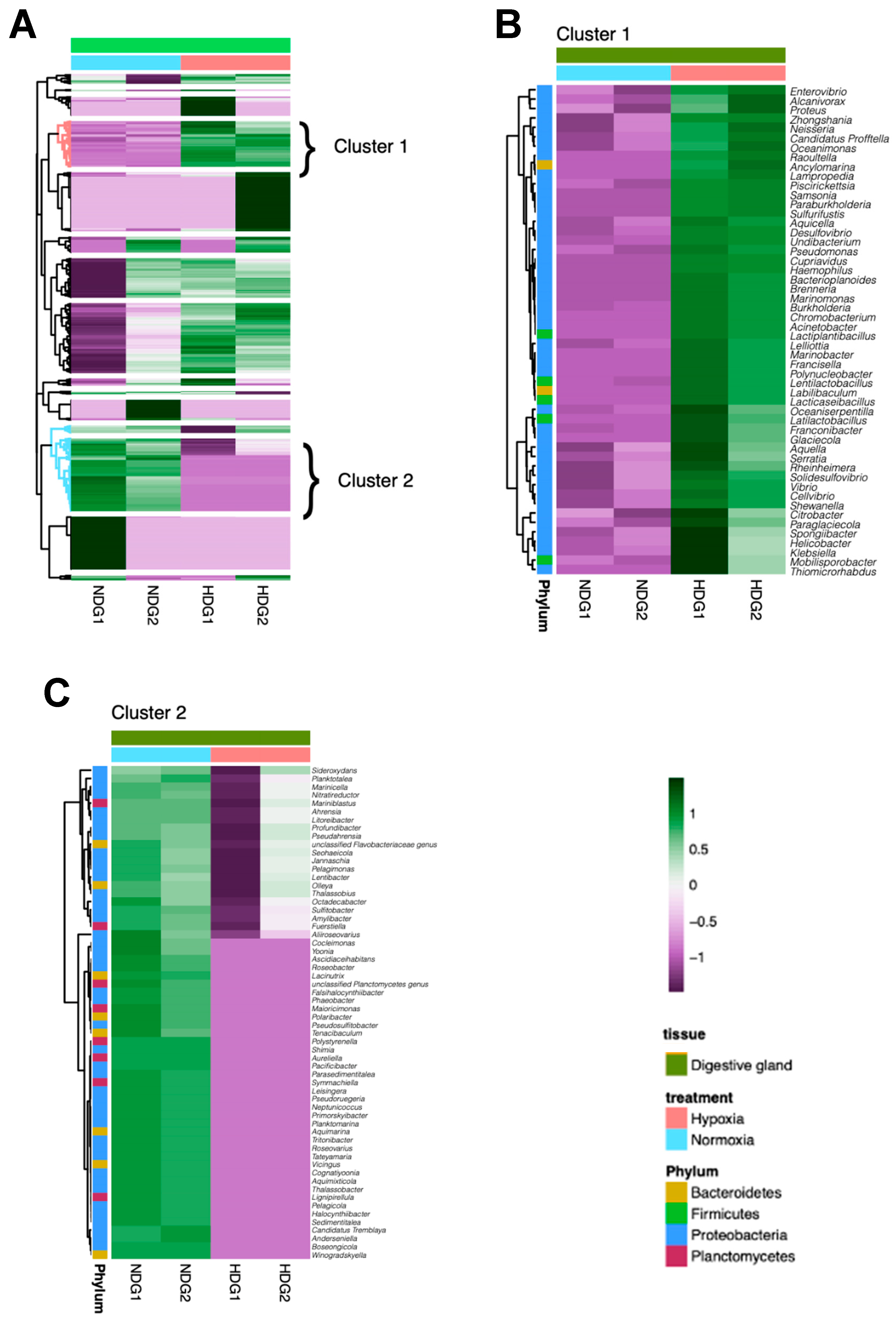 Microorganisms 13 00825 g004