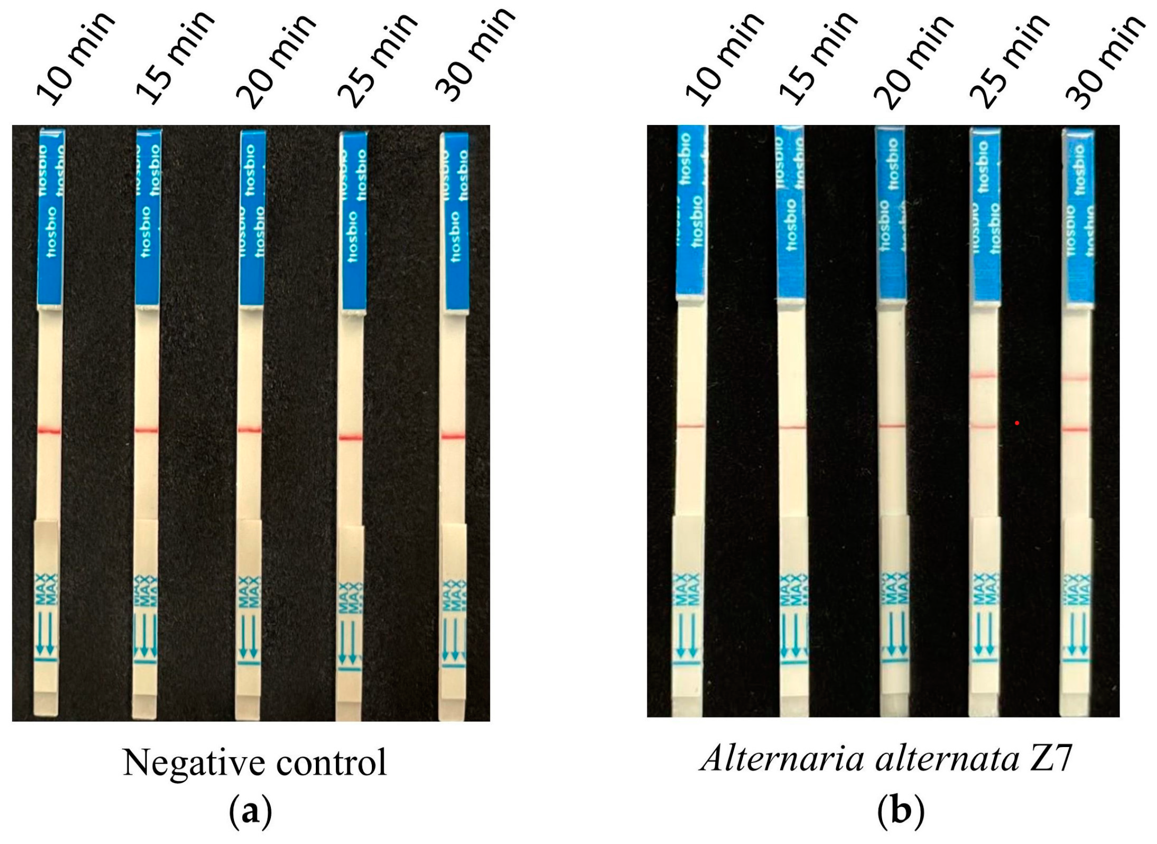 Microorganisms 13 00826 g004