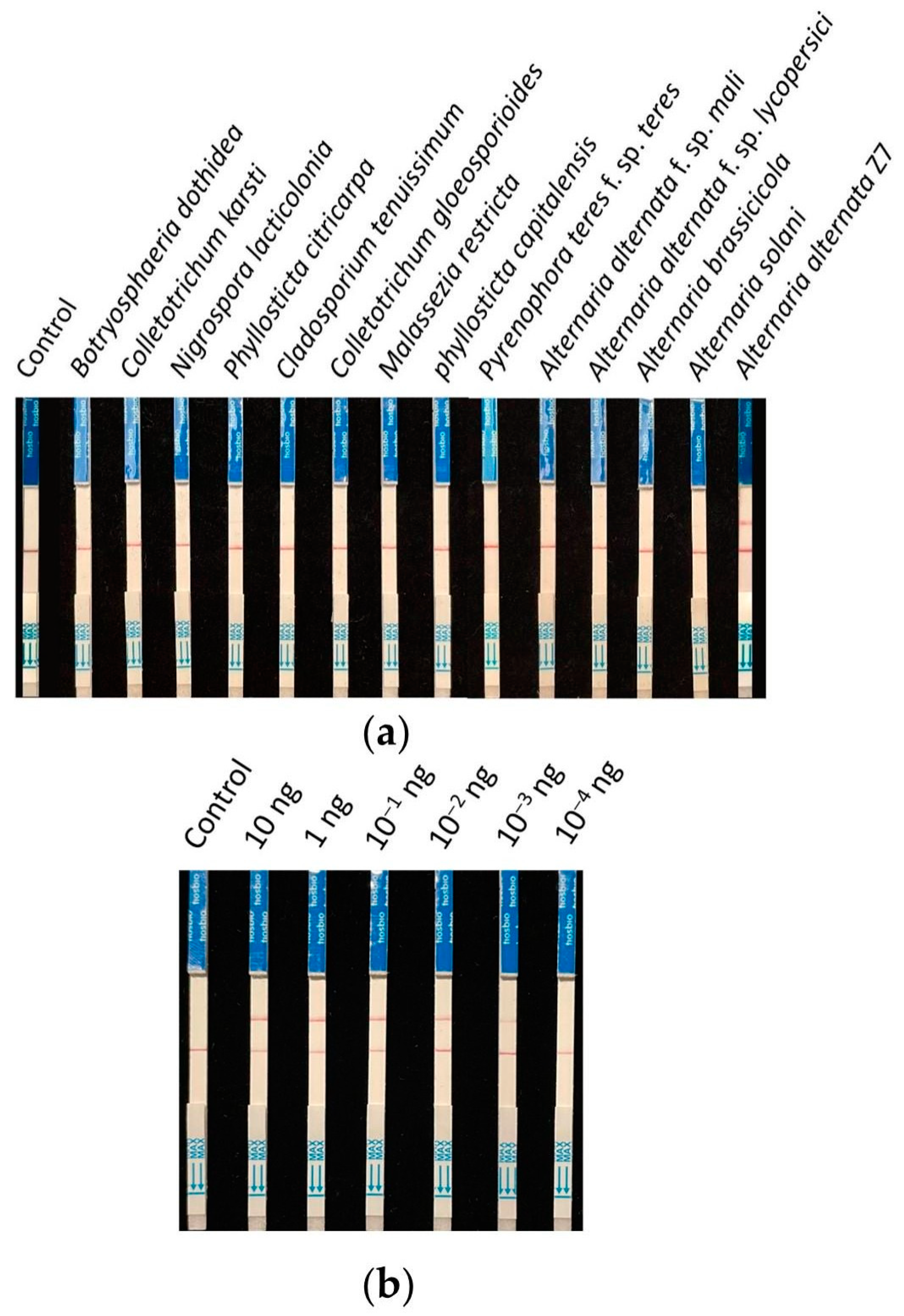 Microorganisms 13 00826 g005
