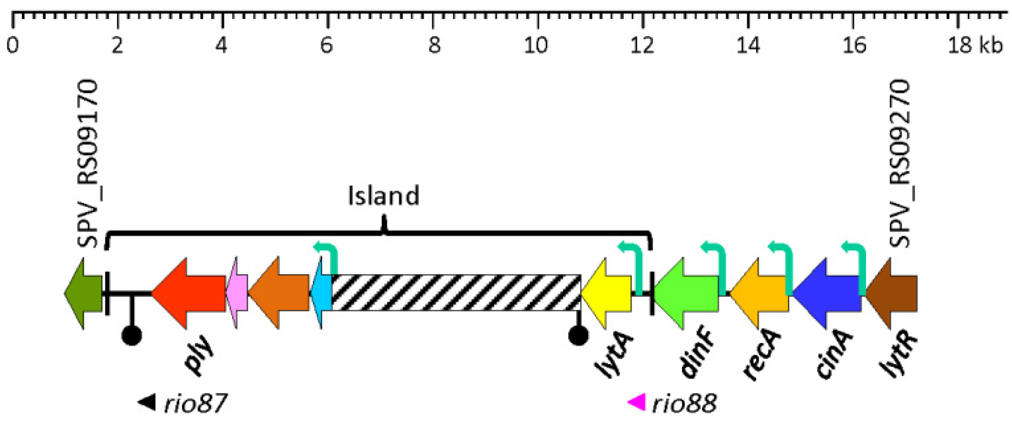 Microorganisms 13 00827 g002