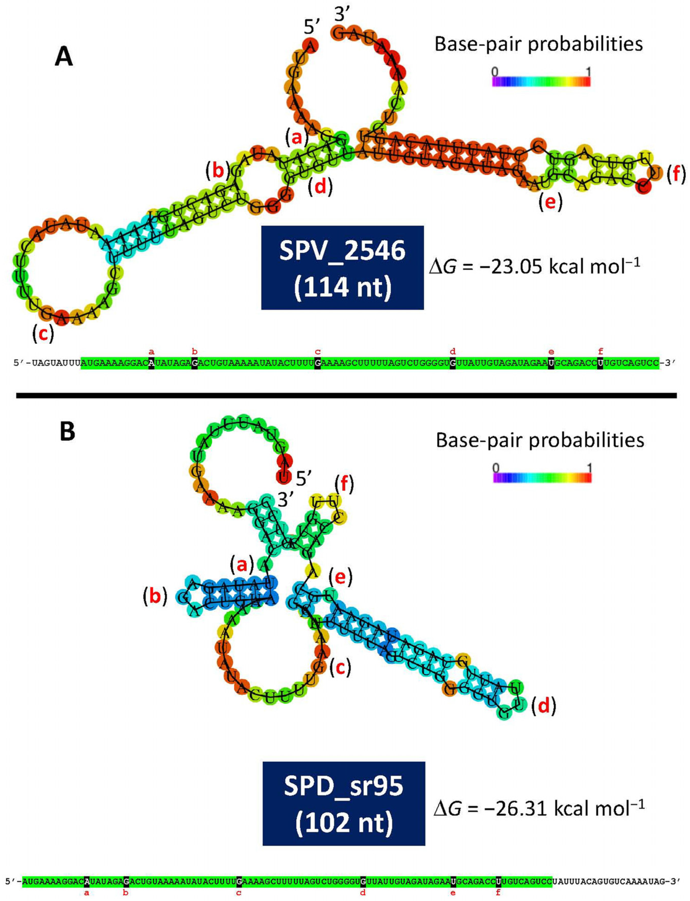 Microorganisms 13 00827 g003