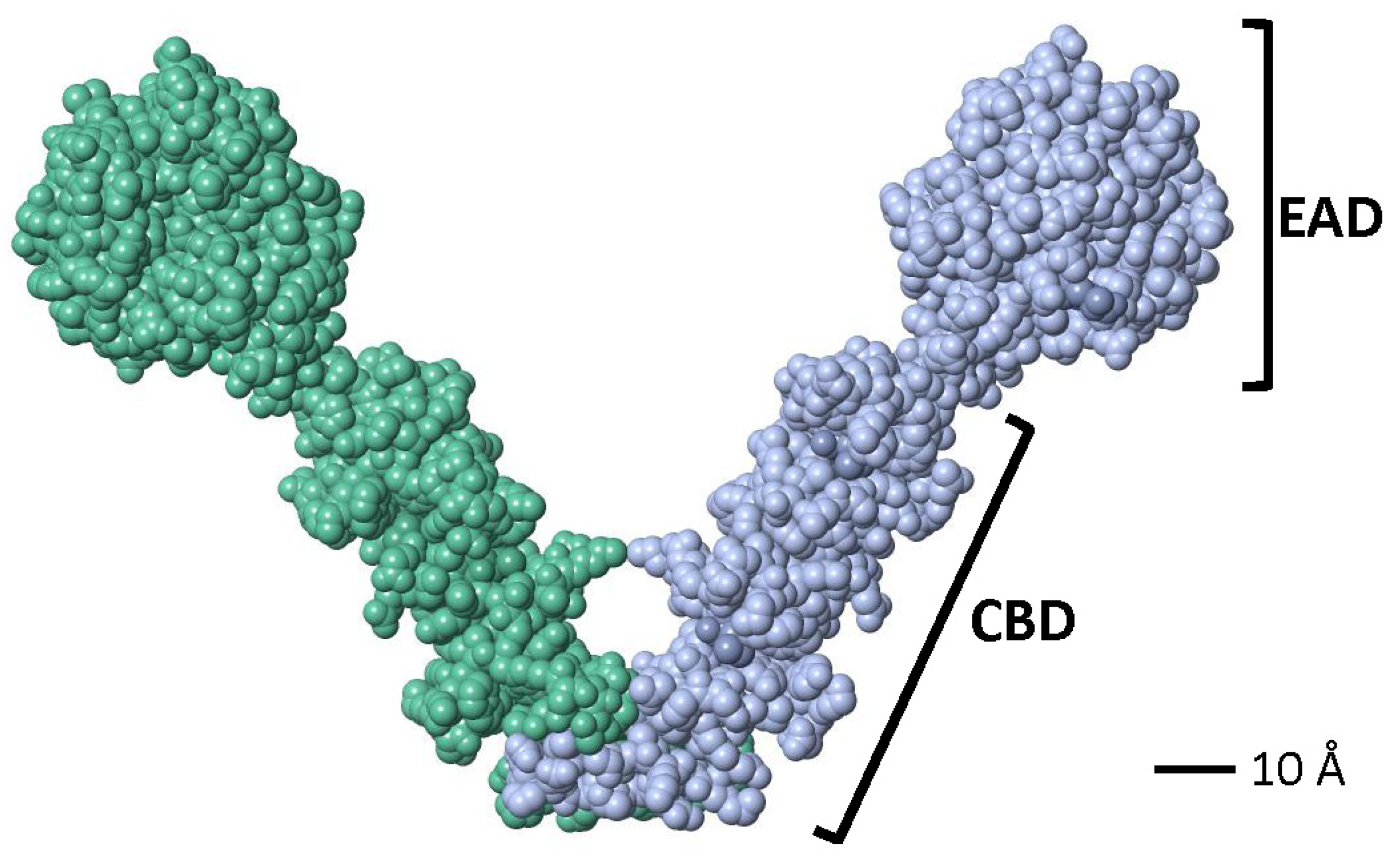 Microorganisms 13 00827 g005