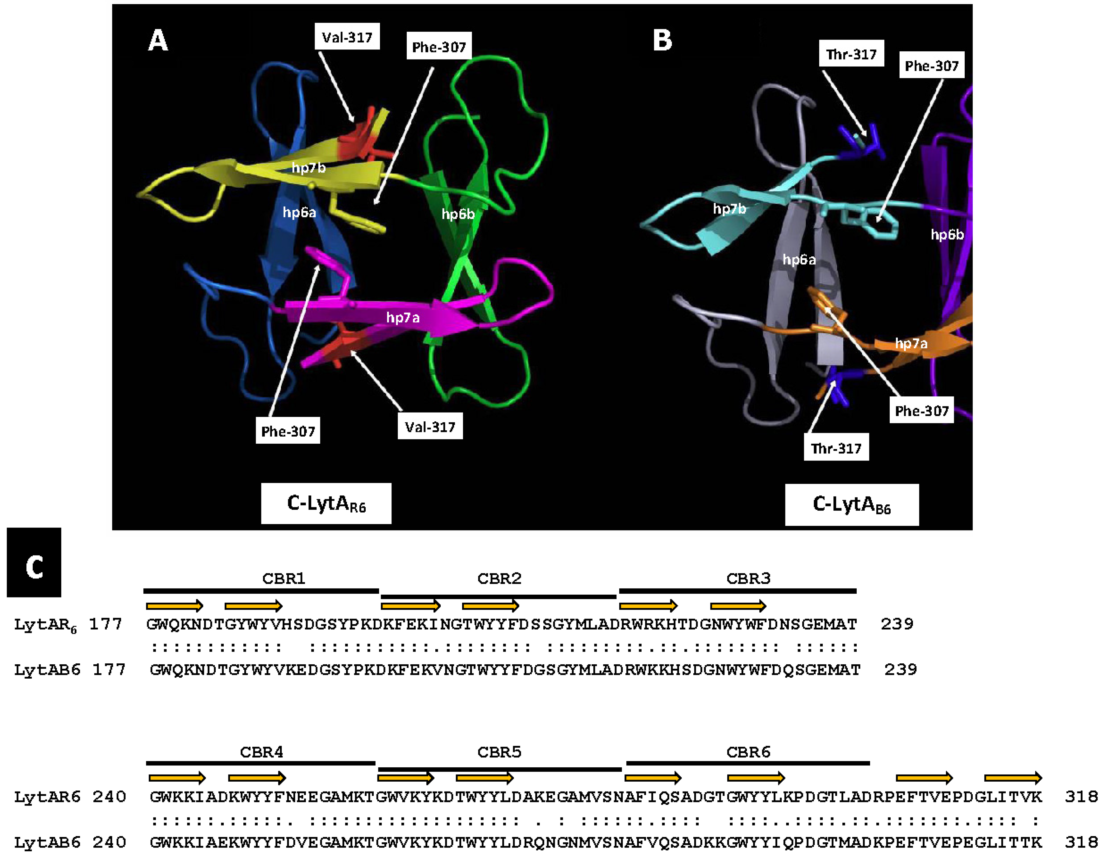 Microorganisms 13 00827 g006