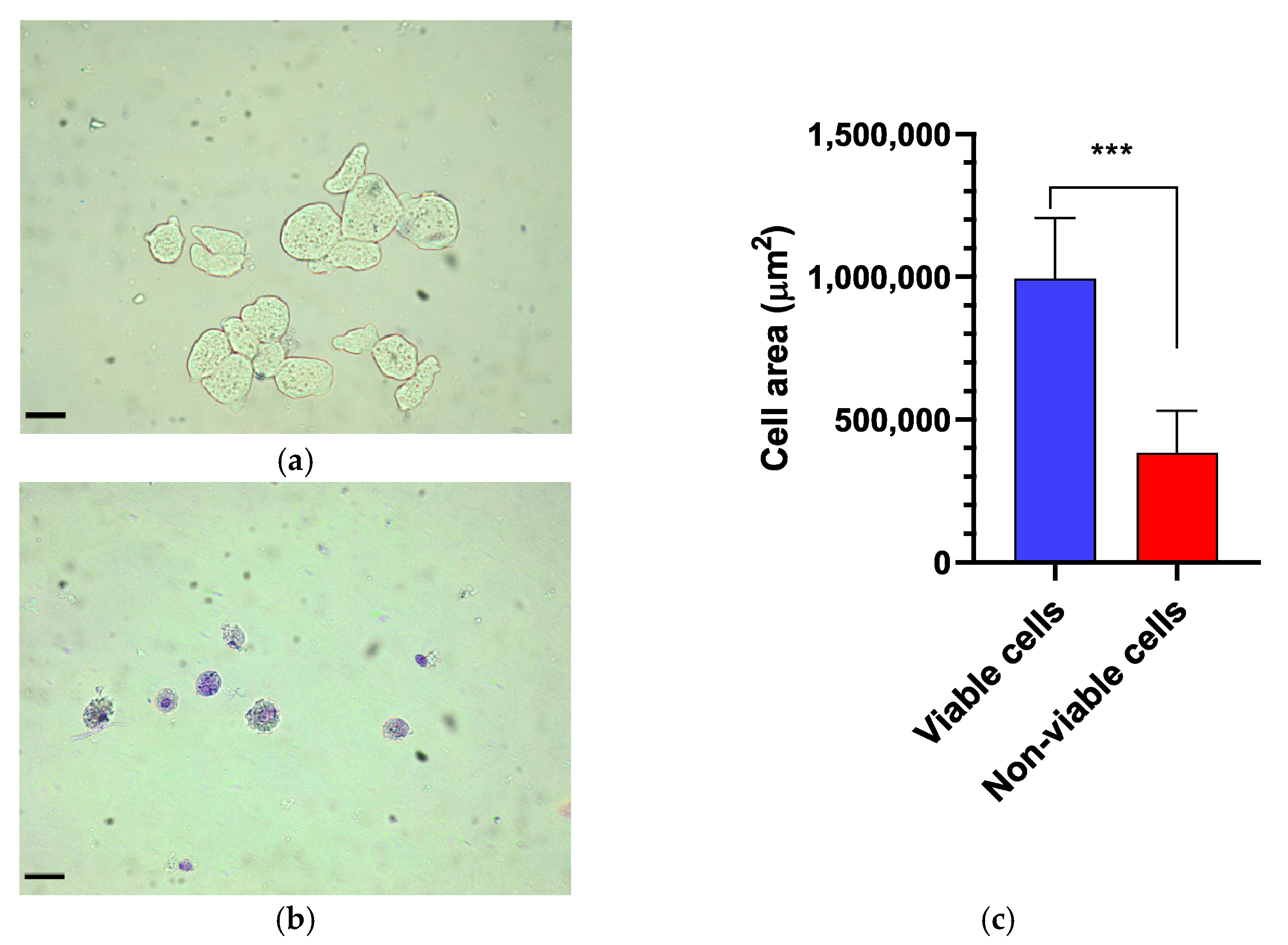 Microorganisms 13 00828 g001