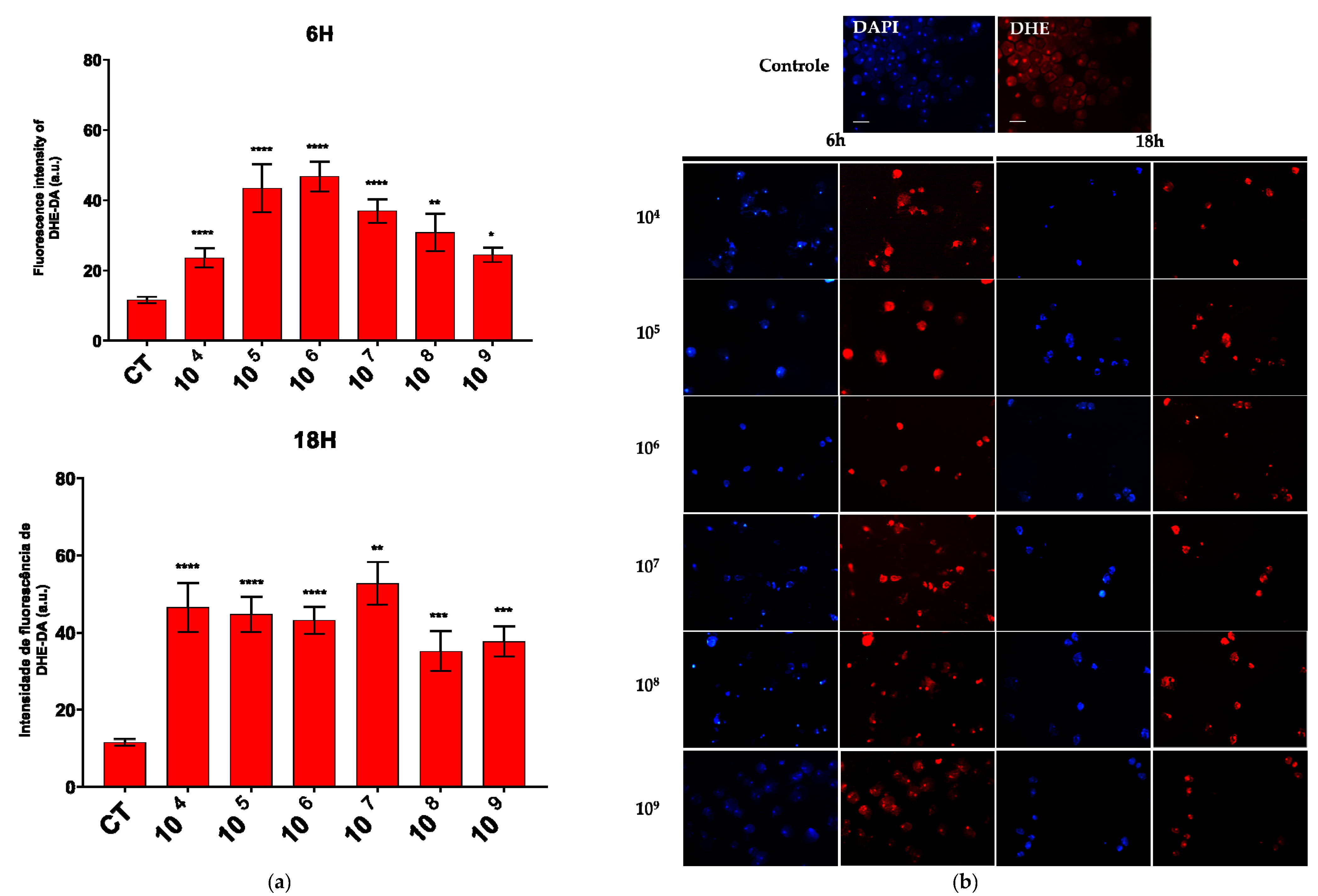 Microorganisms 13 00828 g003