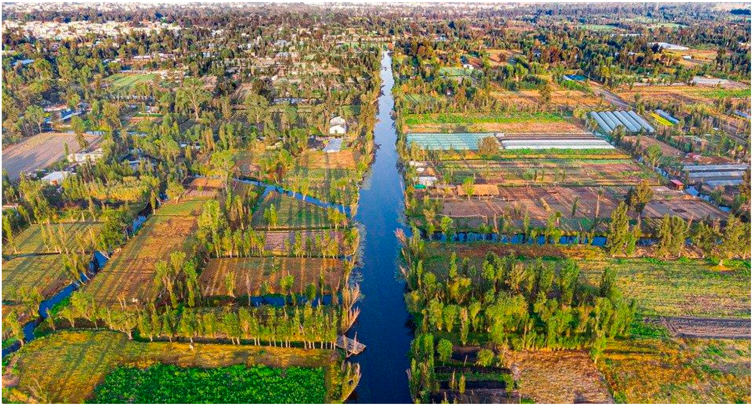 Microorganisms 13 00835 g001