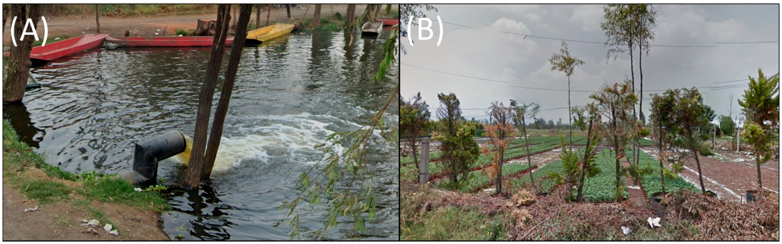 Microorganisms 13 00835 g002