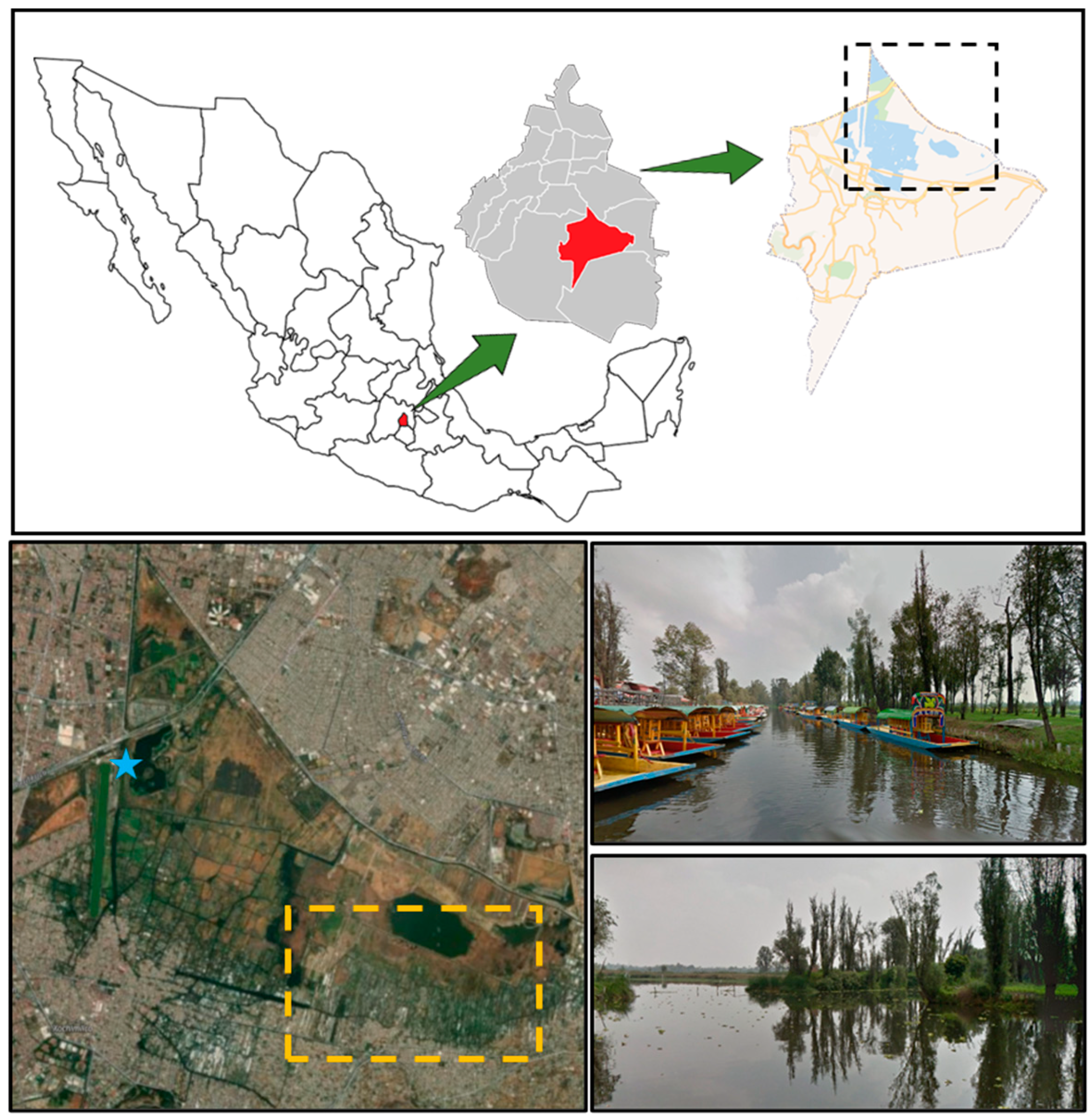 Microorganisms 13 00835 g003