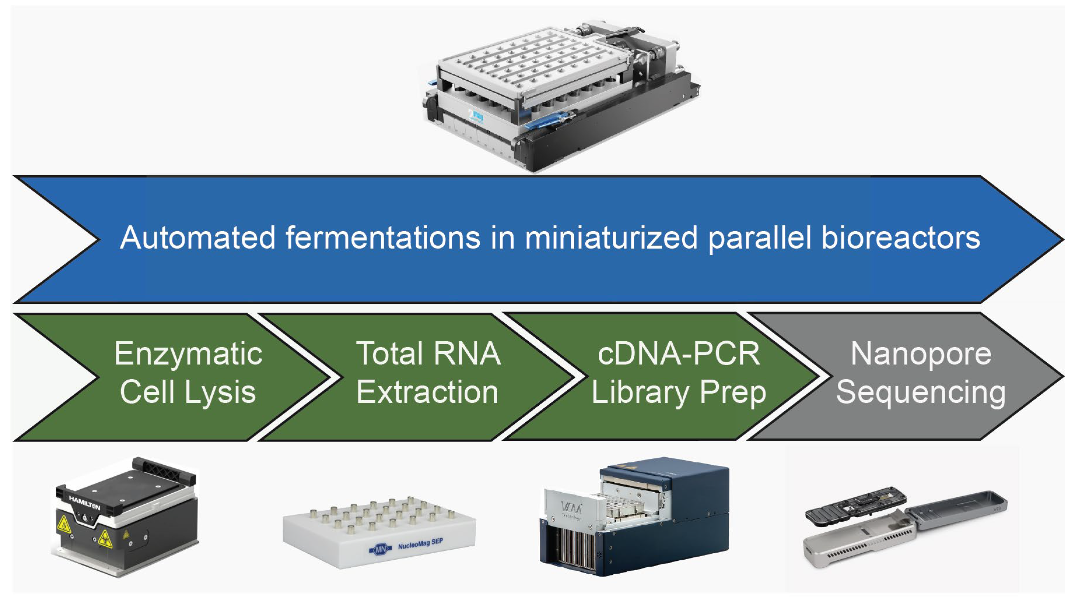 Microorganisms 13 00849 g001