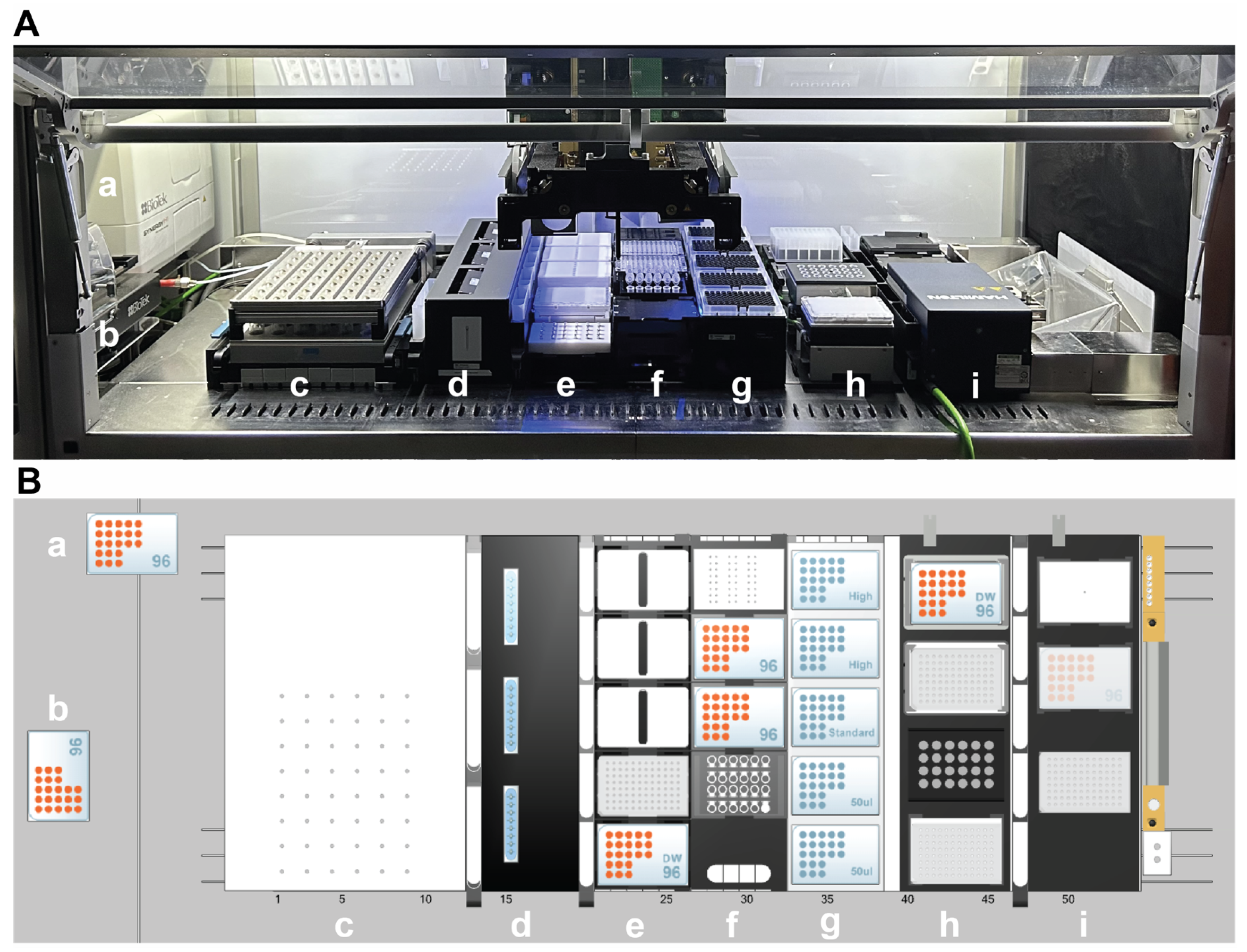 Microorganisms 13 00849 g002