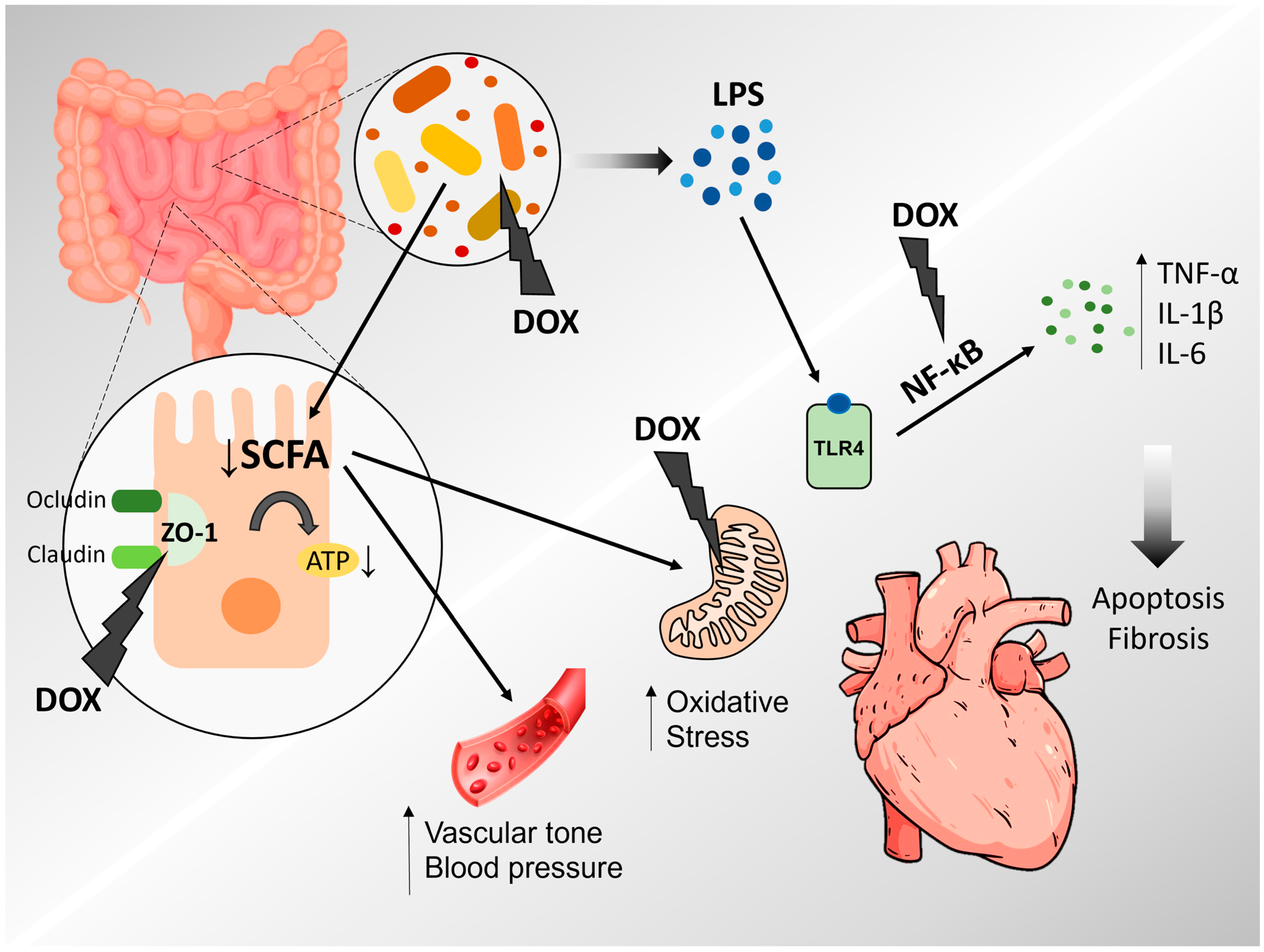 Microorganisms 13 00855 g001