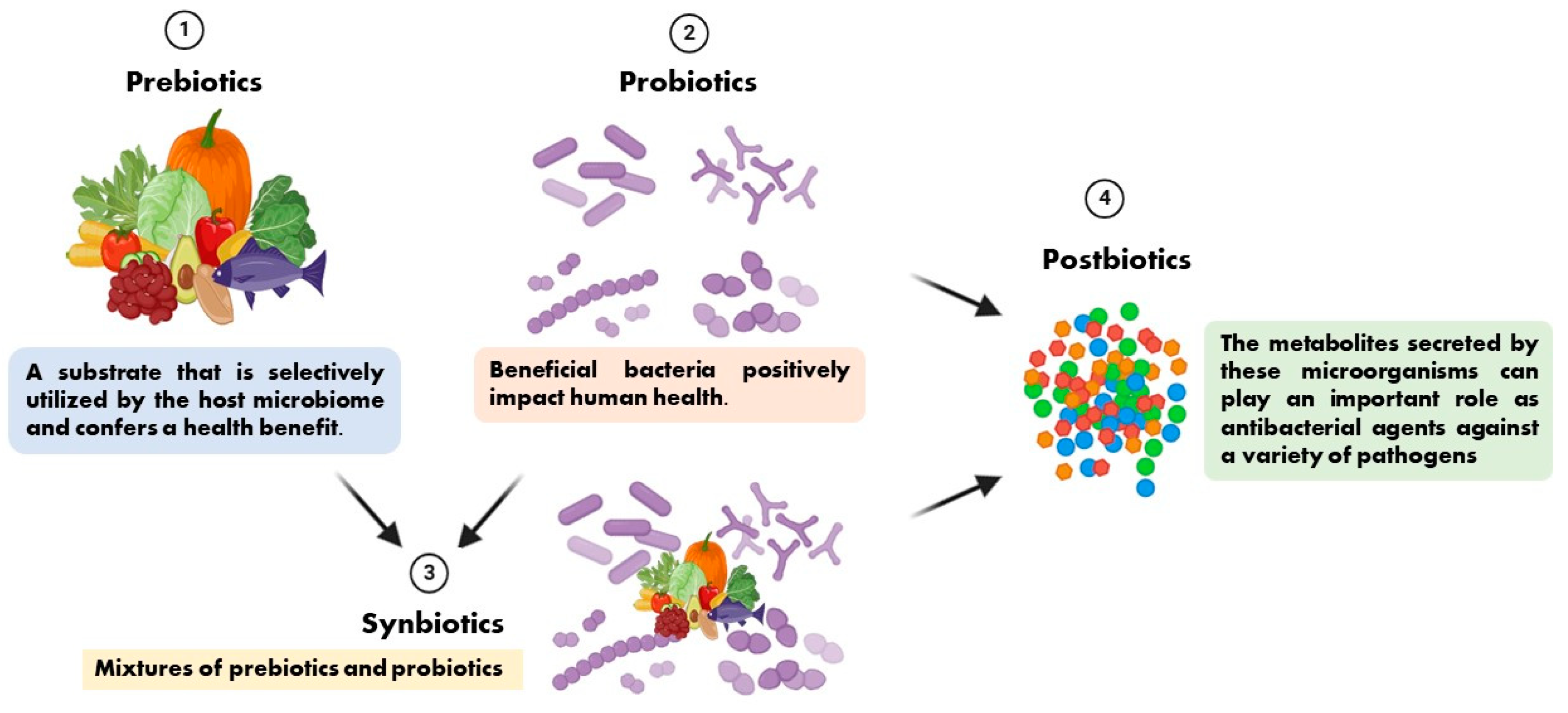 Microorganisms 13 00856 g001