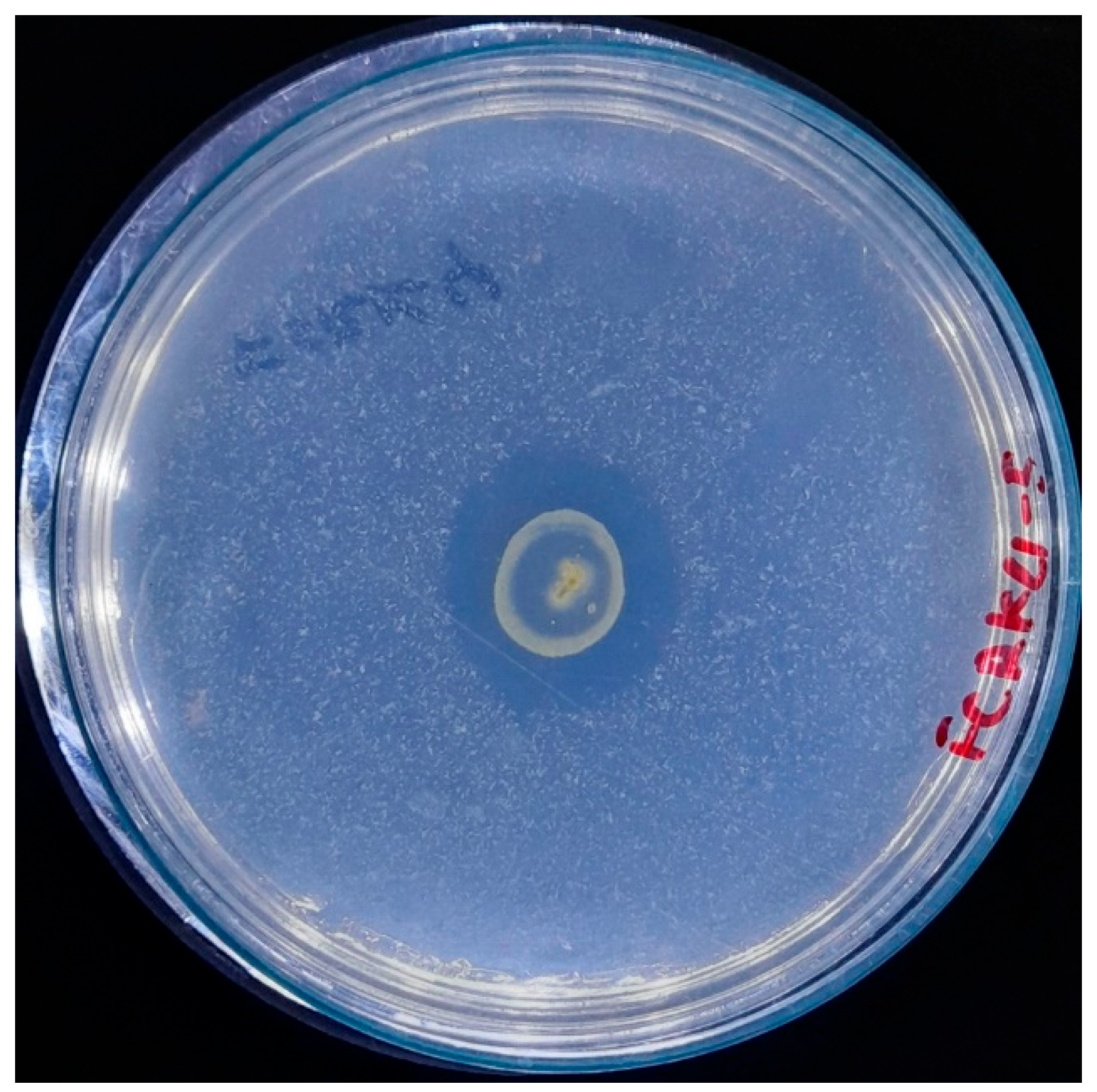Microorganisms 13 00860 g002