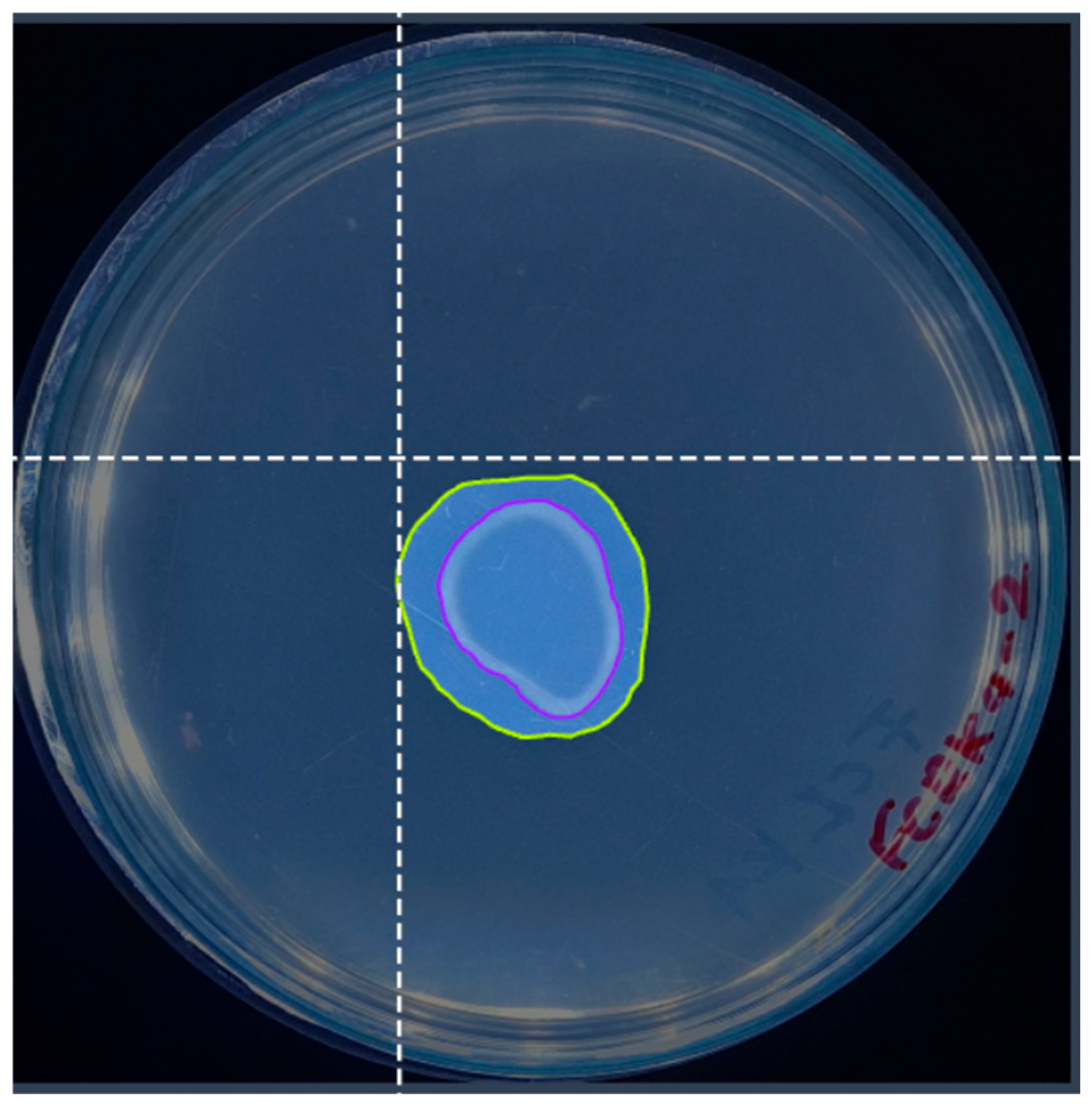 Microorganisms 13 00860 g003