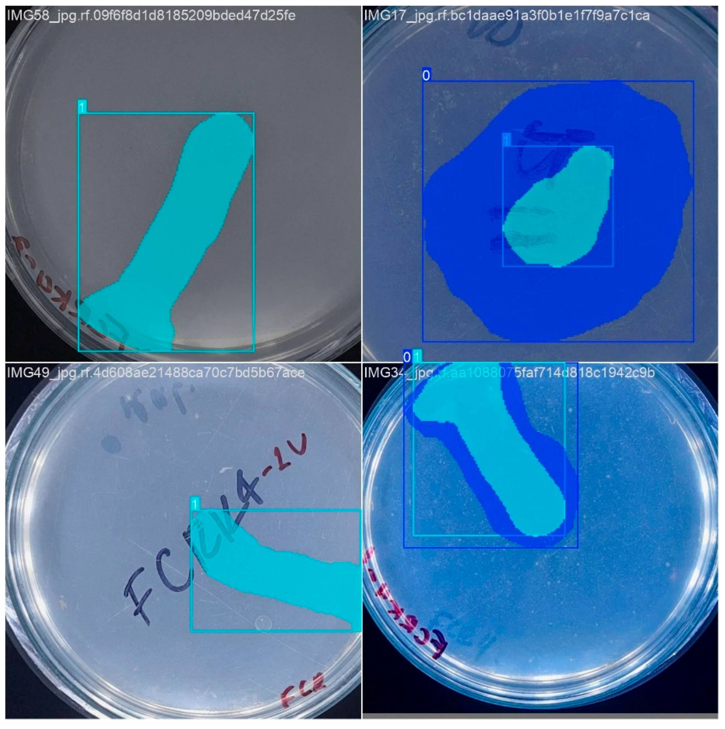 Microorganisms 13 00860 g005