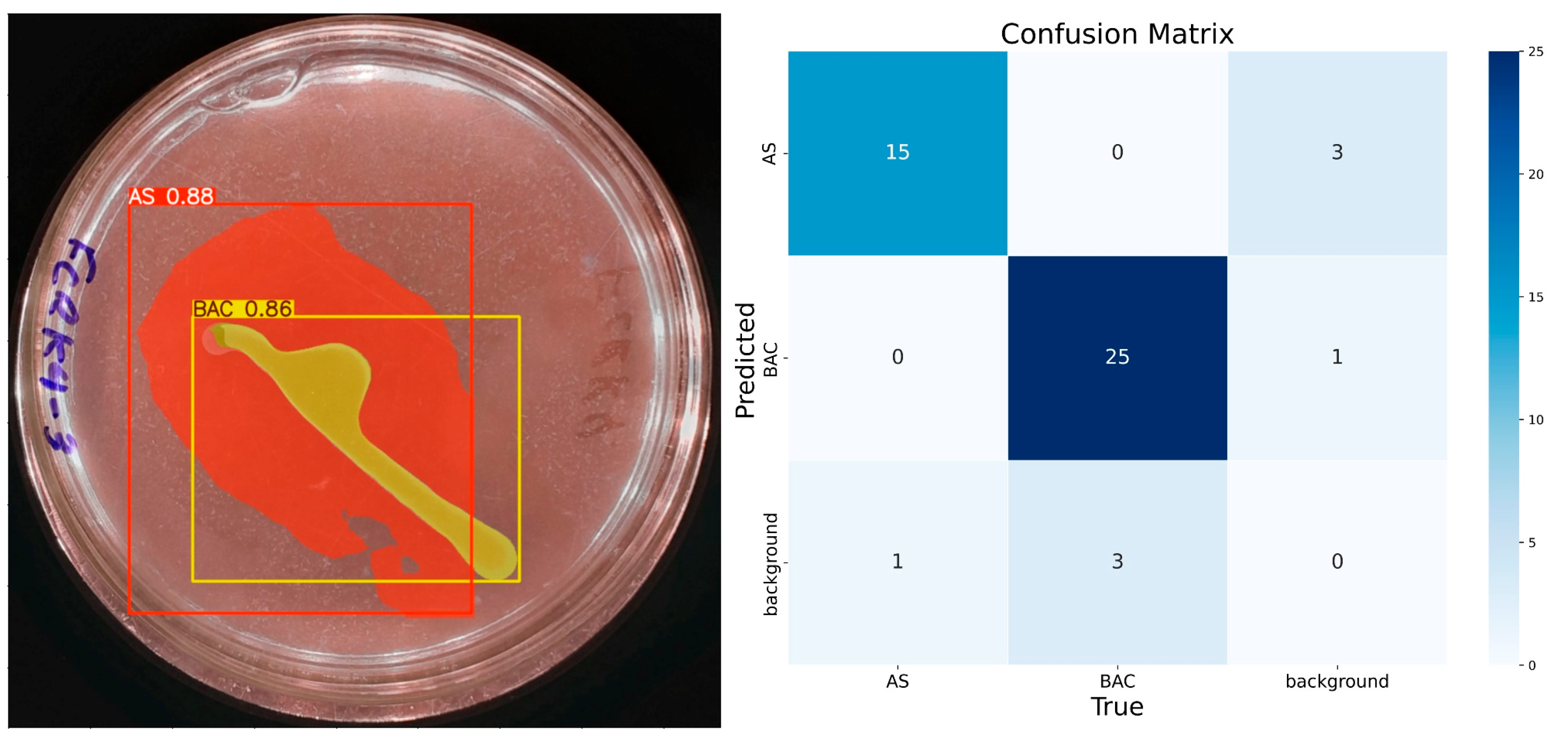 Microorganisms 13 00860 g009