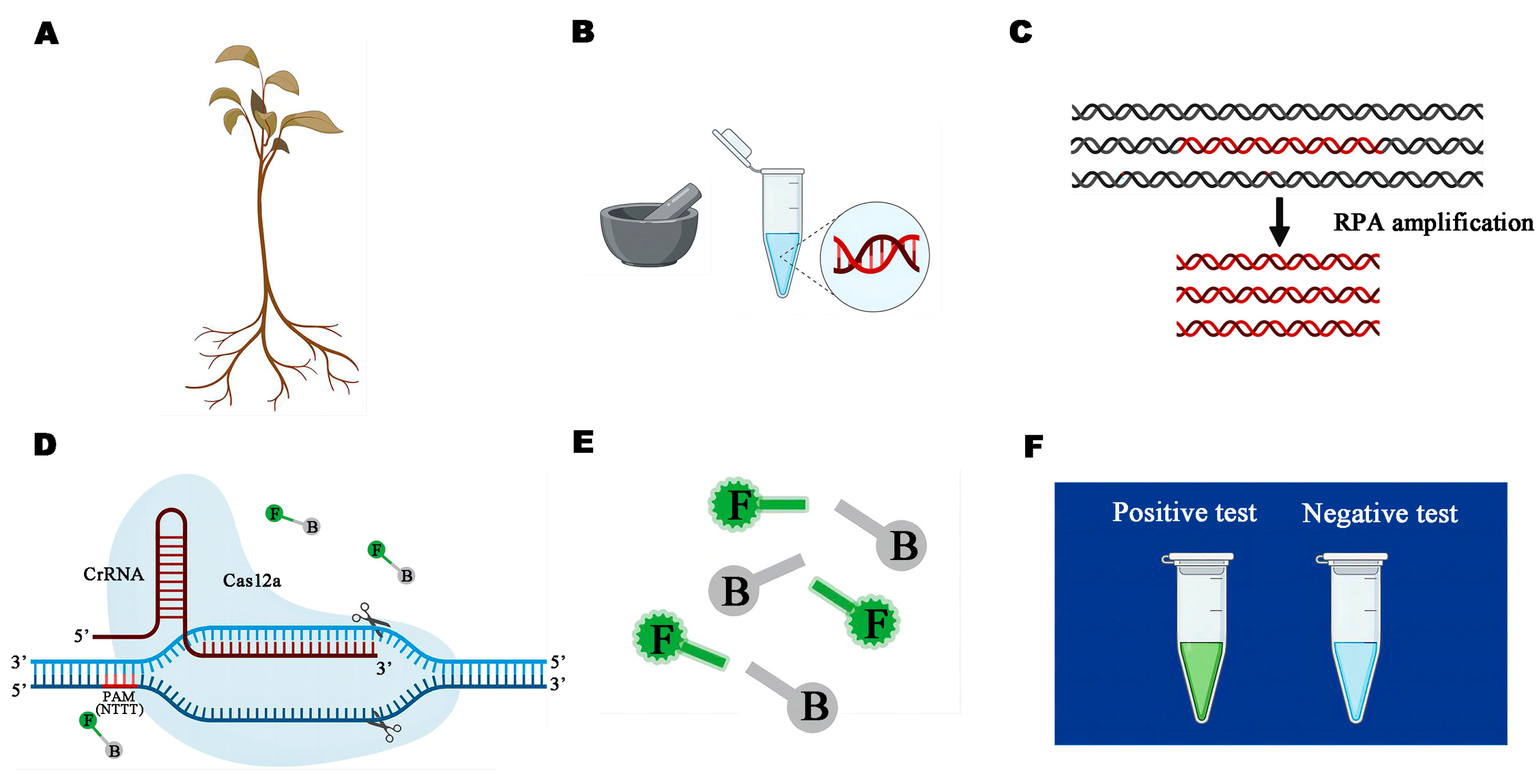 Microorganisms 13 00863 g002