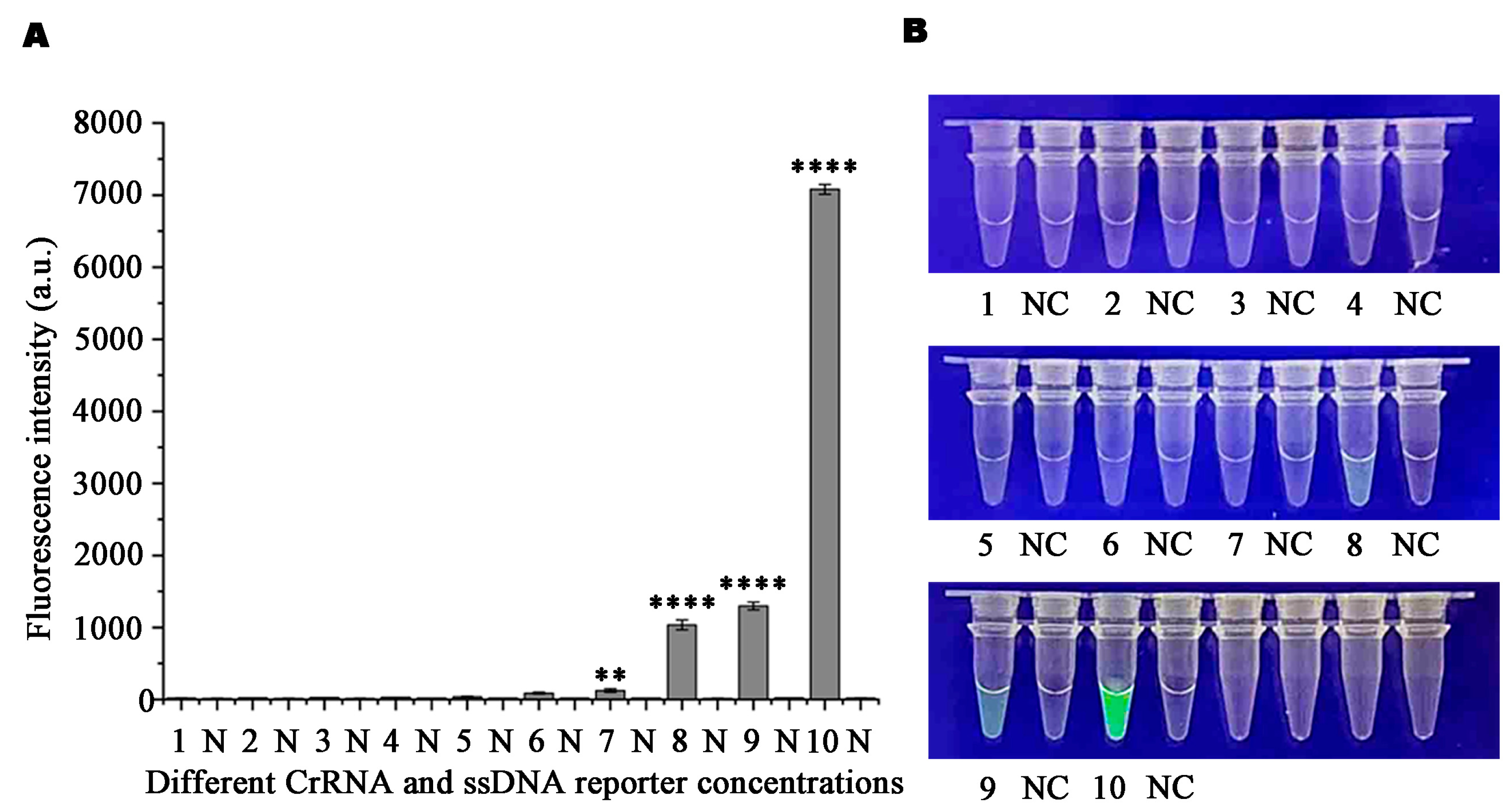 Microorganisms 13 00863 g003