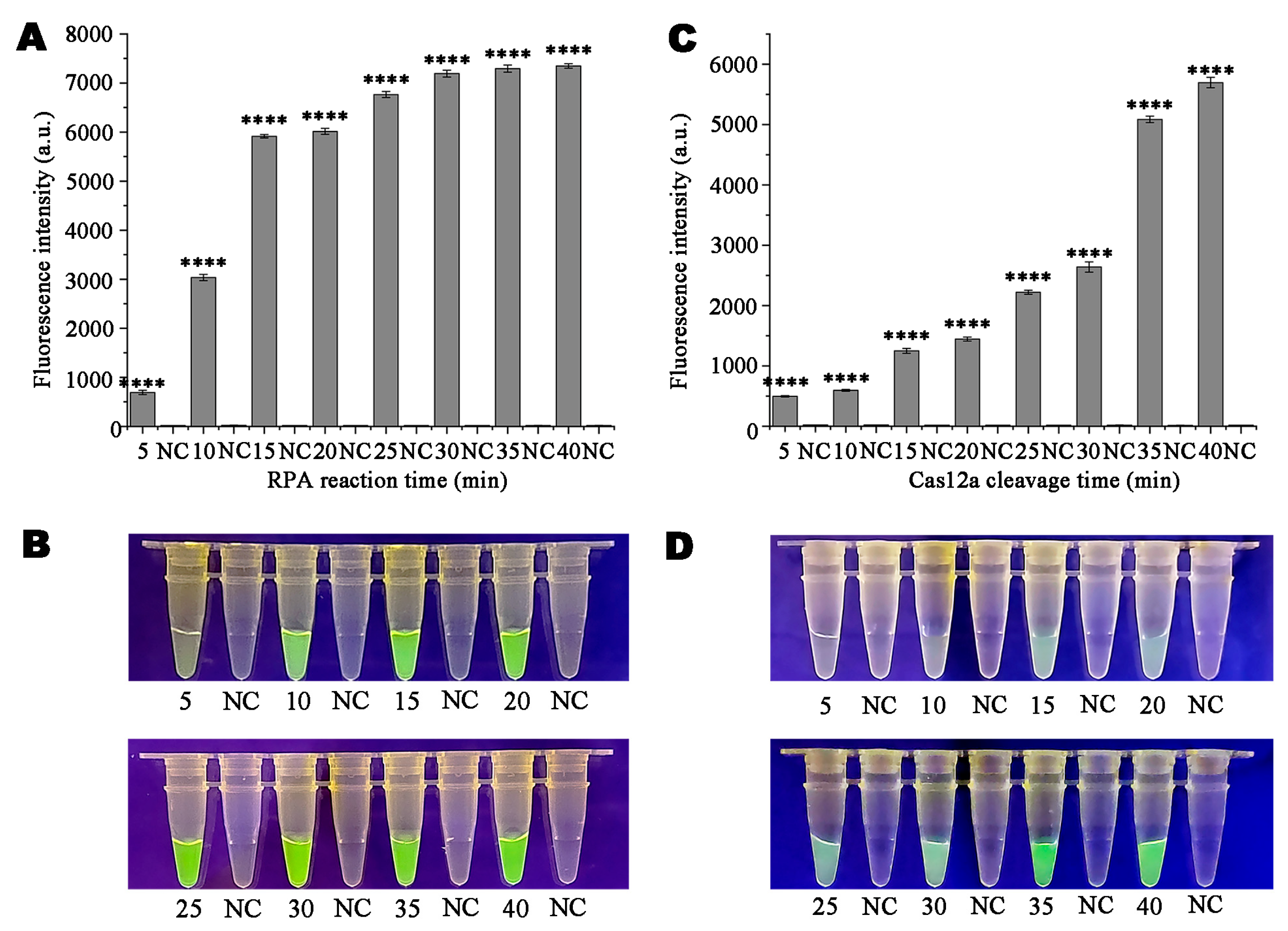 Microorganisms 13 00863 g004