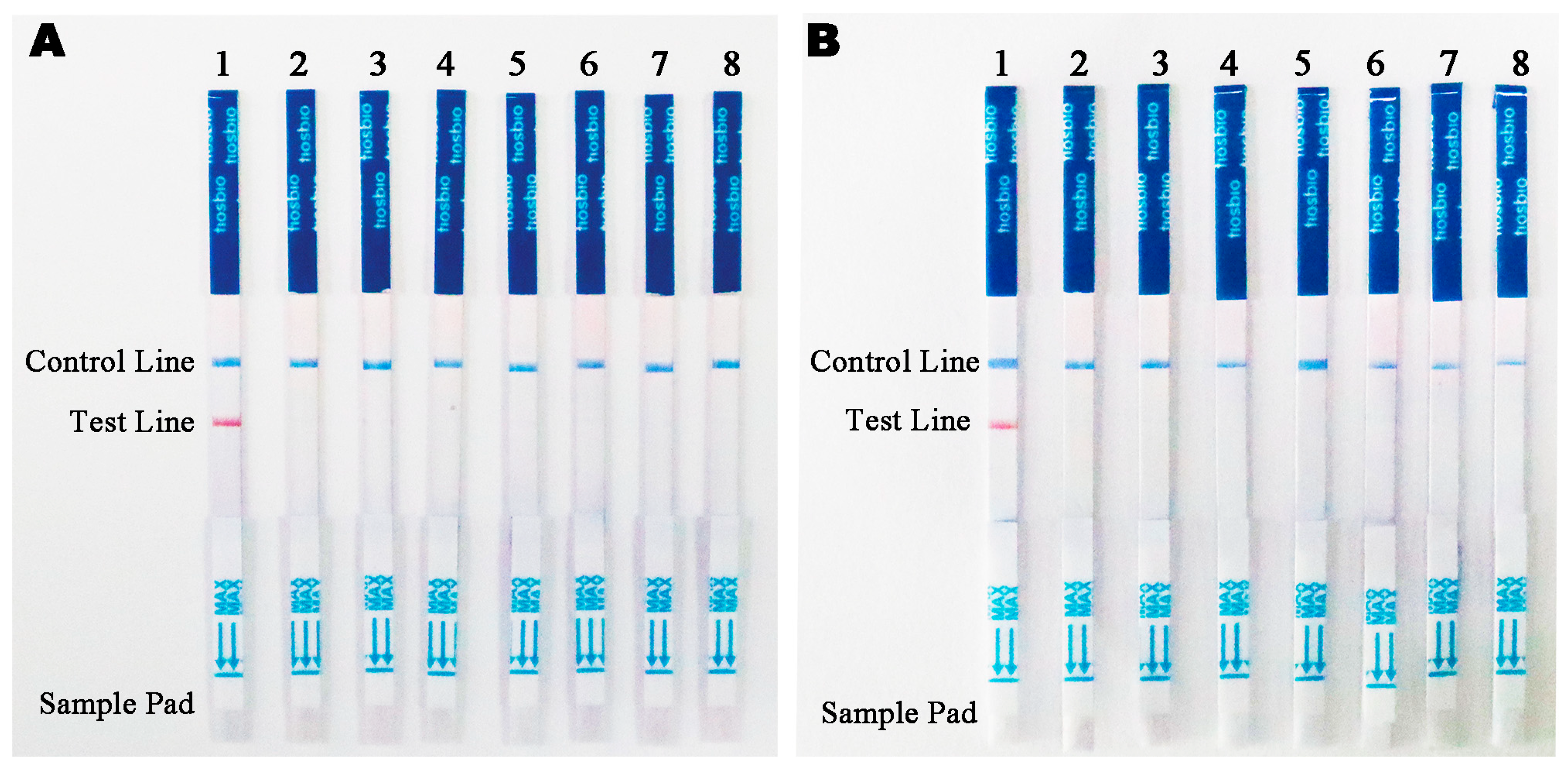 Microorganisms 13 00863 g005