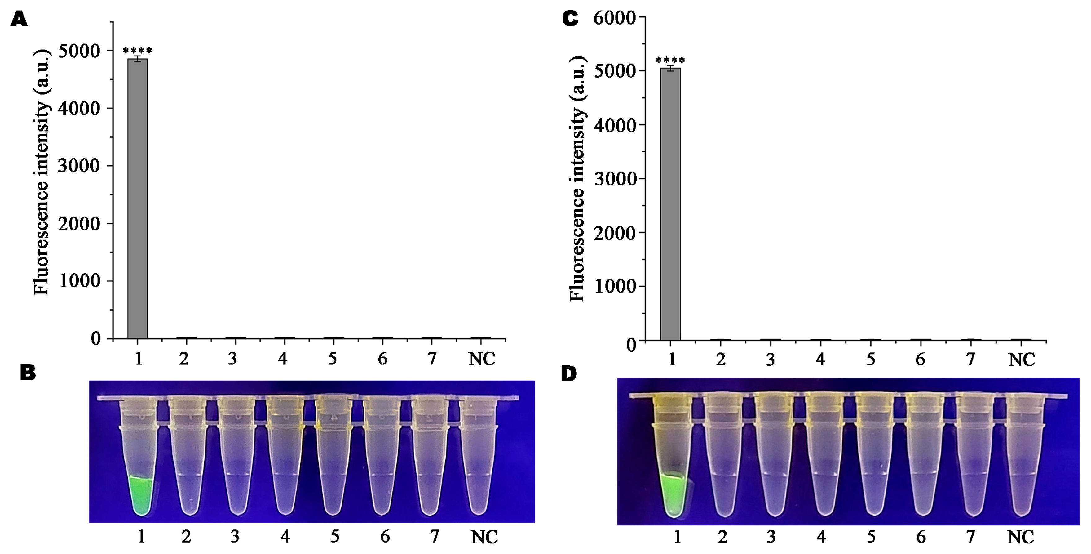 Microorganisms 13 00863 g006