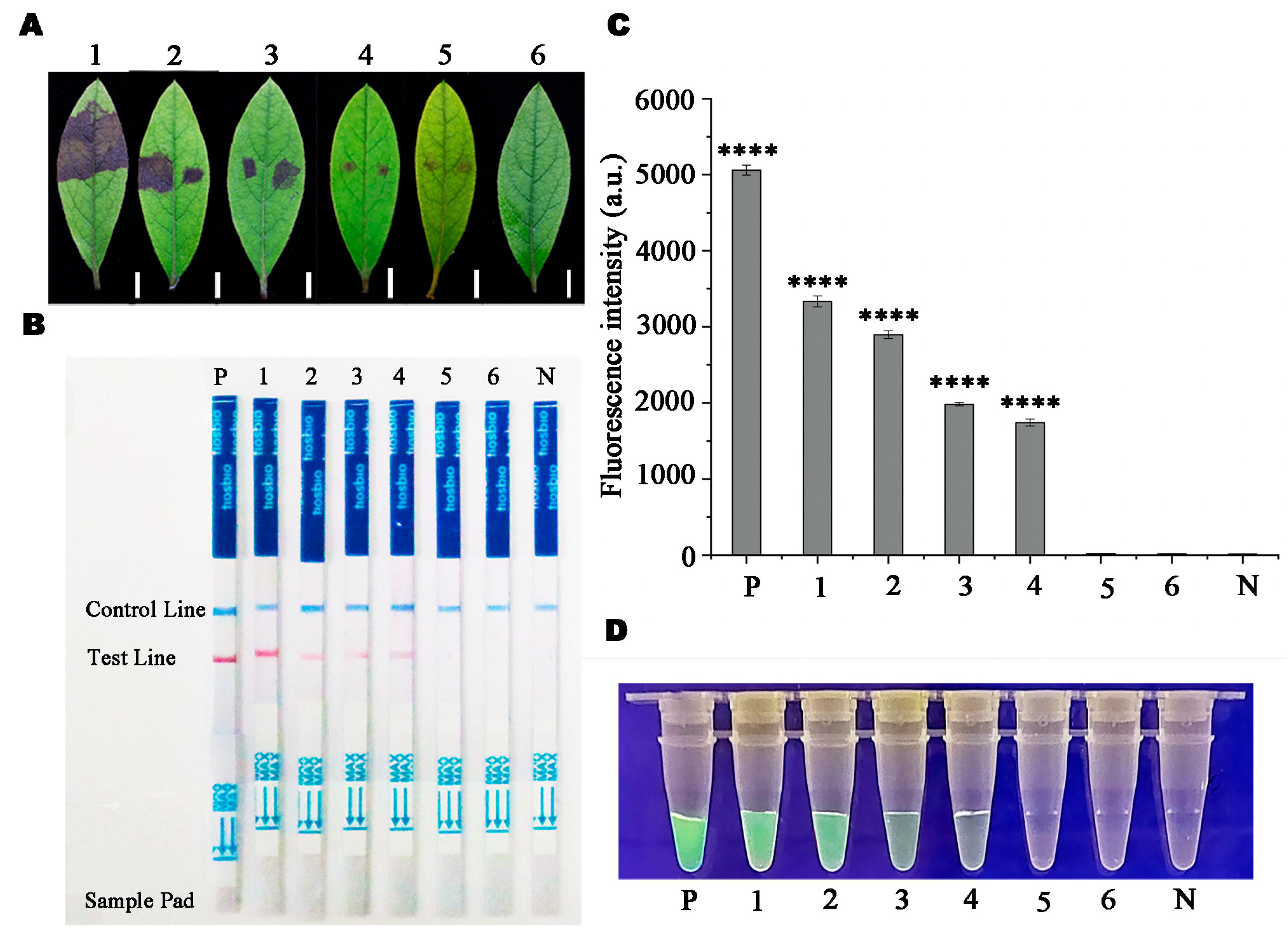 Microorganisms 13 00863 g008