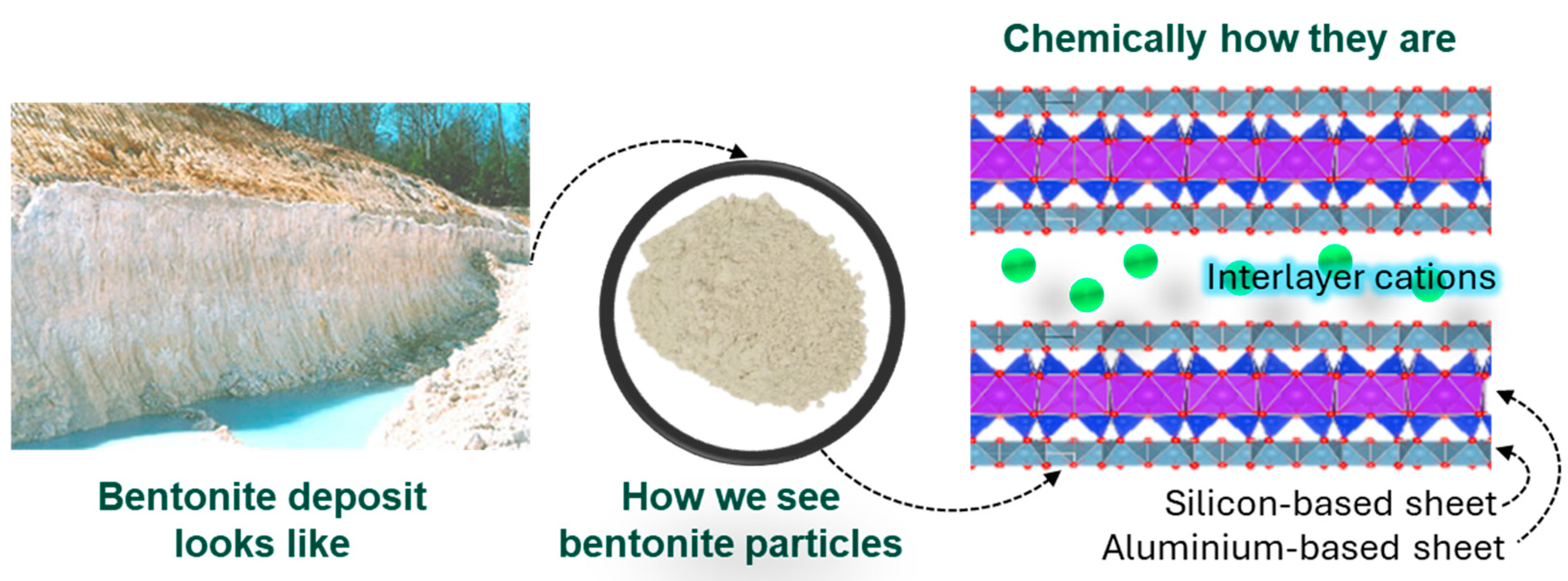 Microorganisms 13 00866 g003