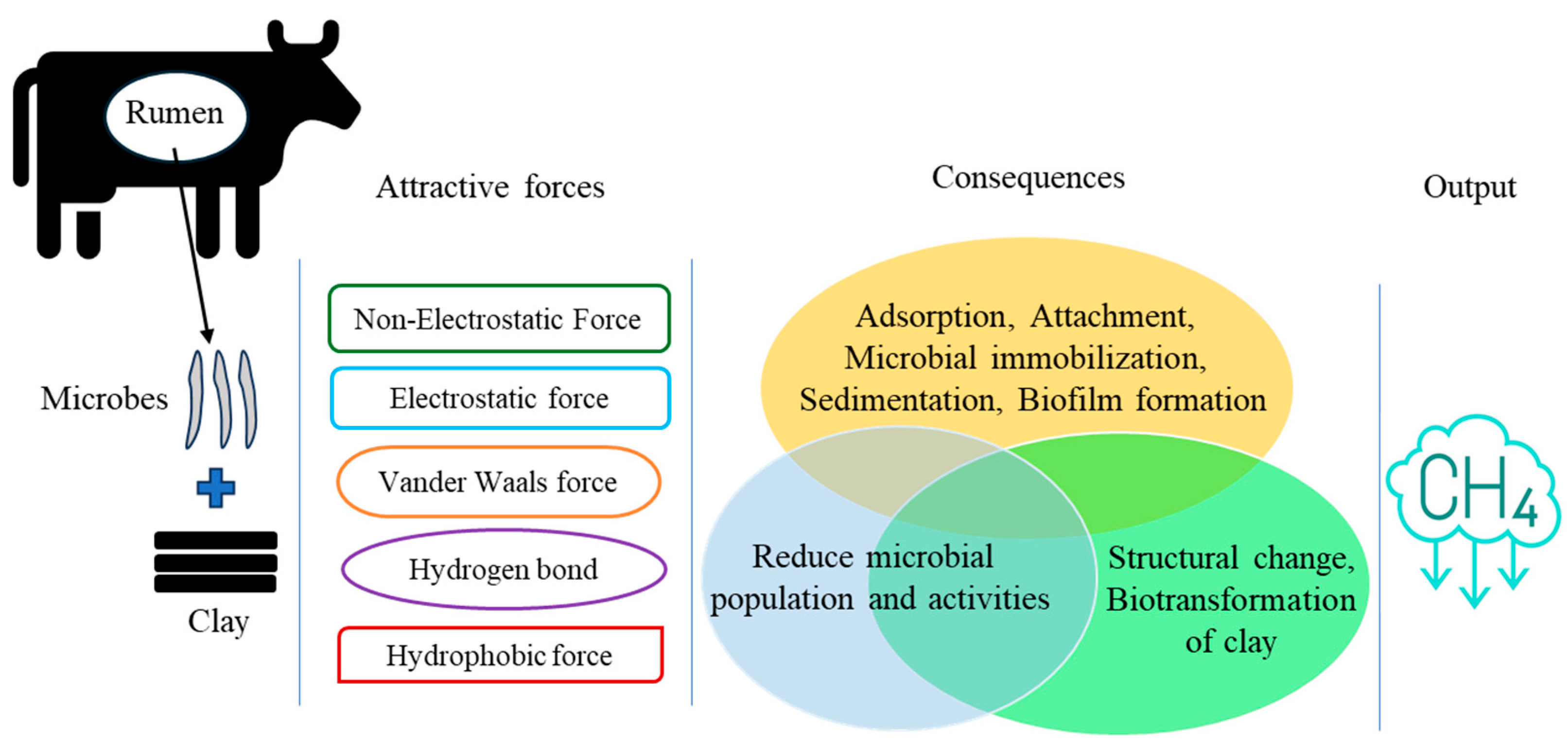Microorganisms 13 00866 g004