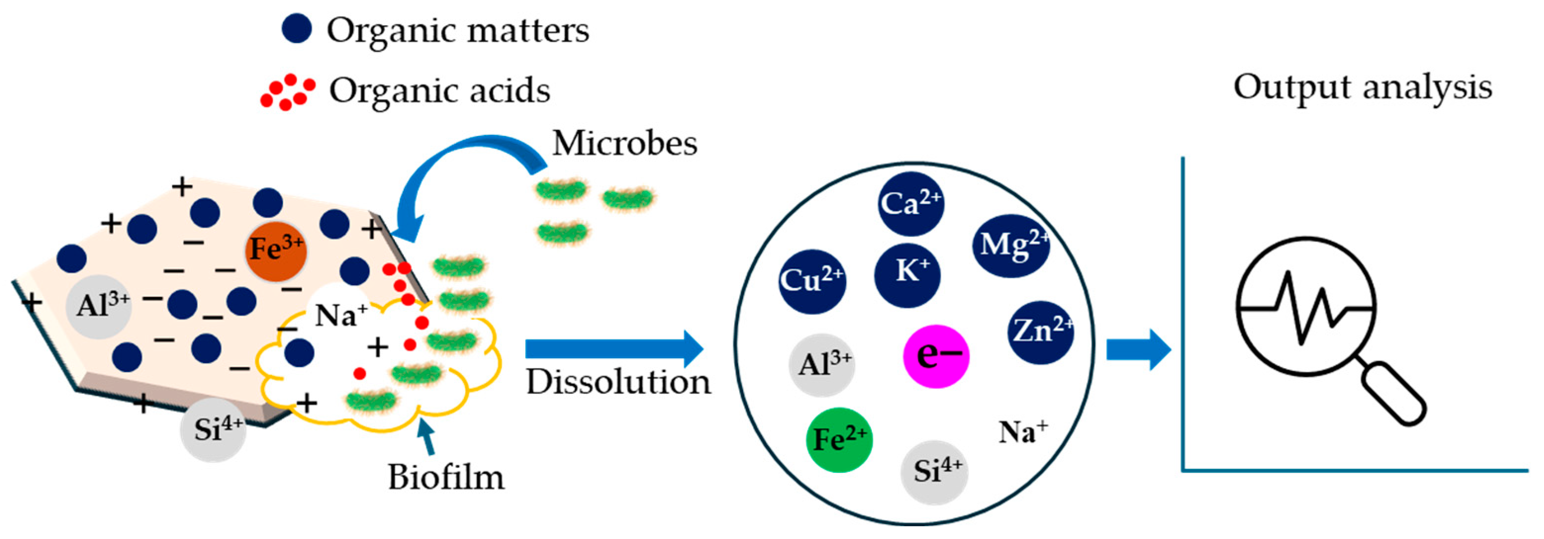 Microorganisms 13 00866 g005