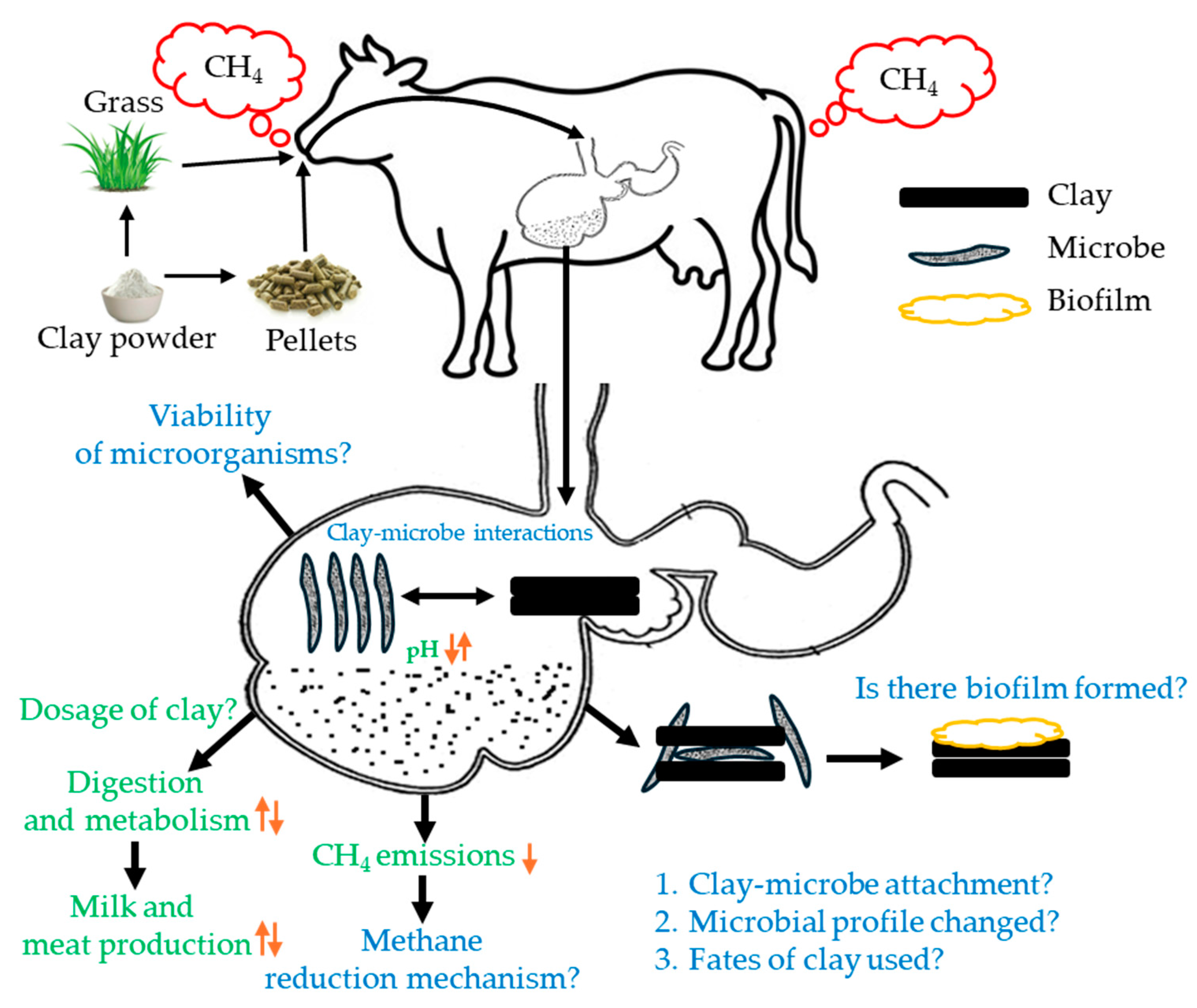 Microorganisms 13 00866 g007