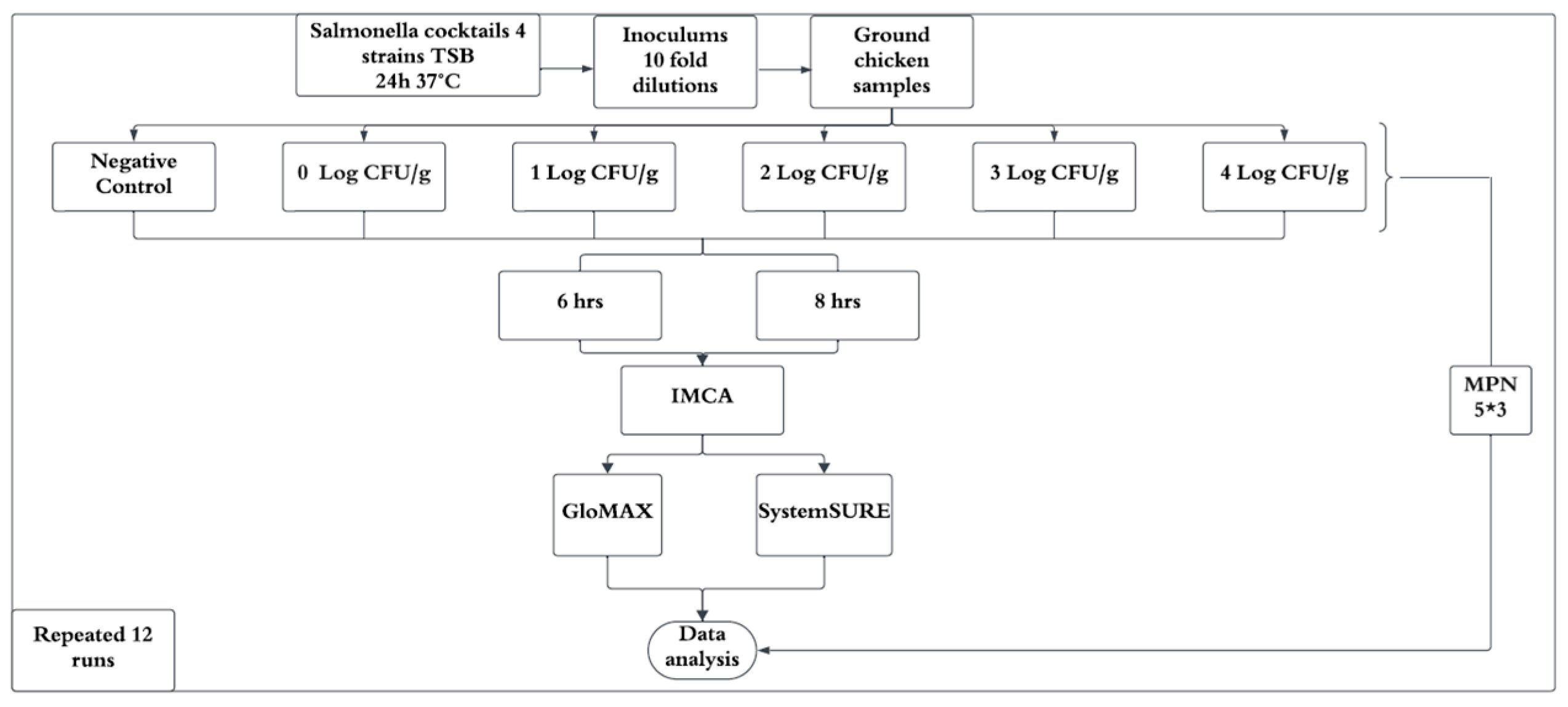 Microorganisms 13 00871 g002