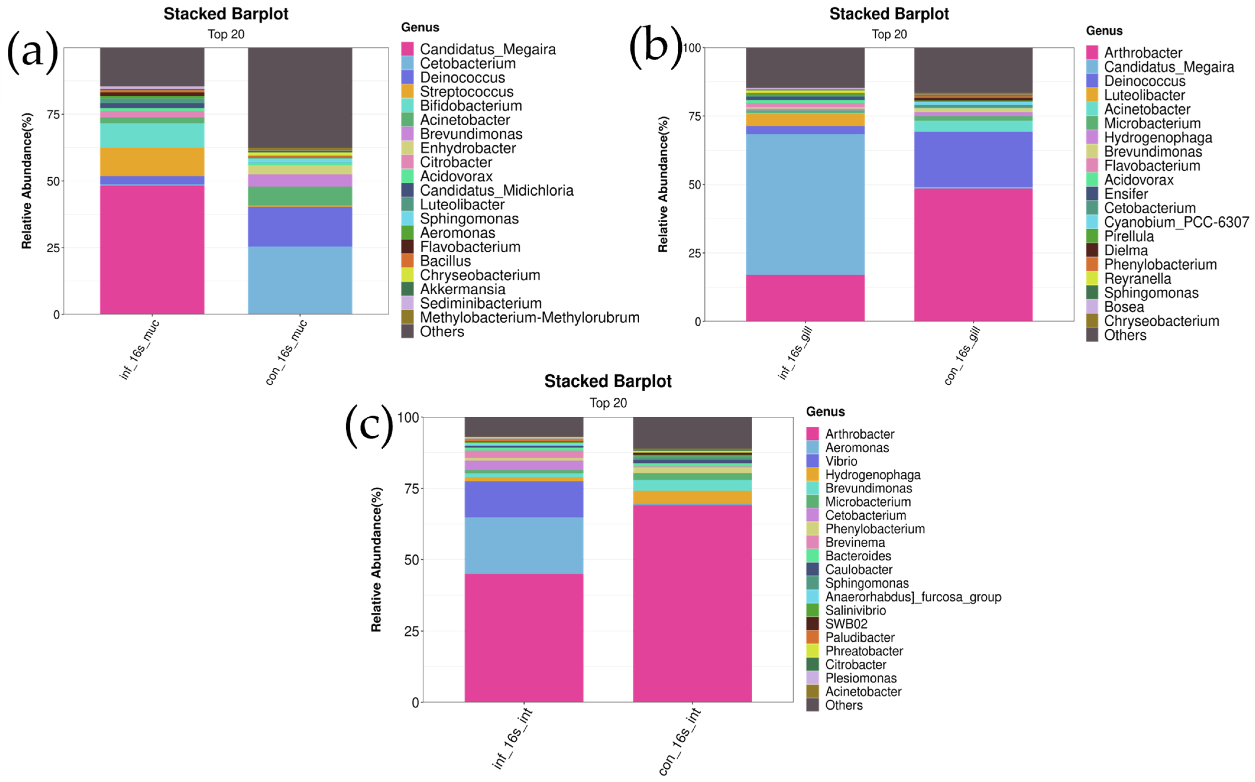 Microorganisms 13 00872 g005 Microorganisms 13 00872 g005