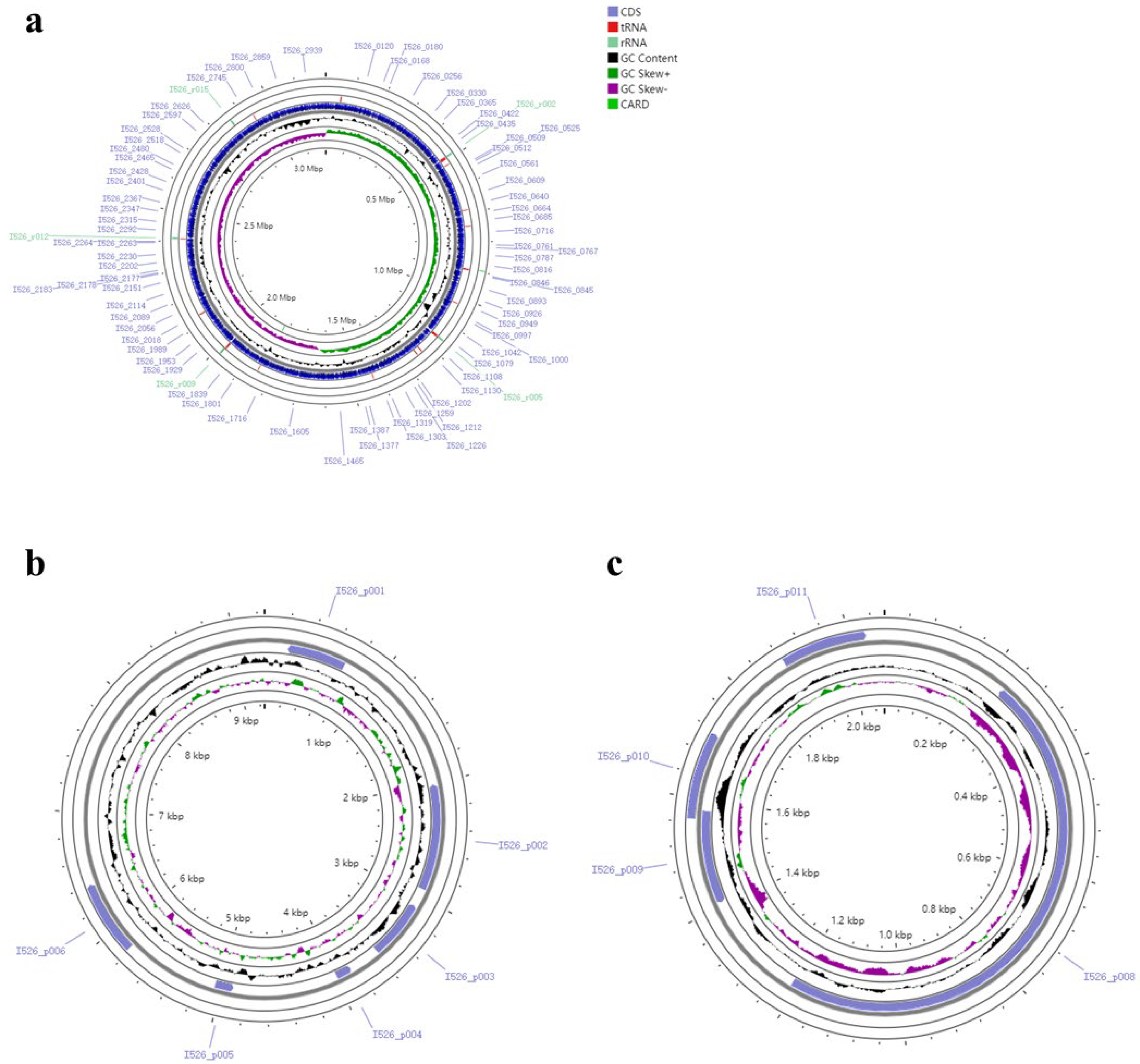 Microorganisms 13 00873 g001