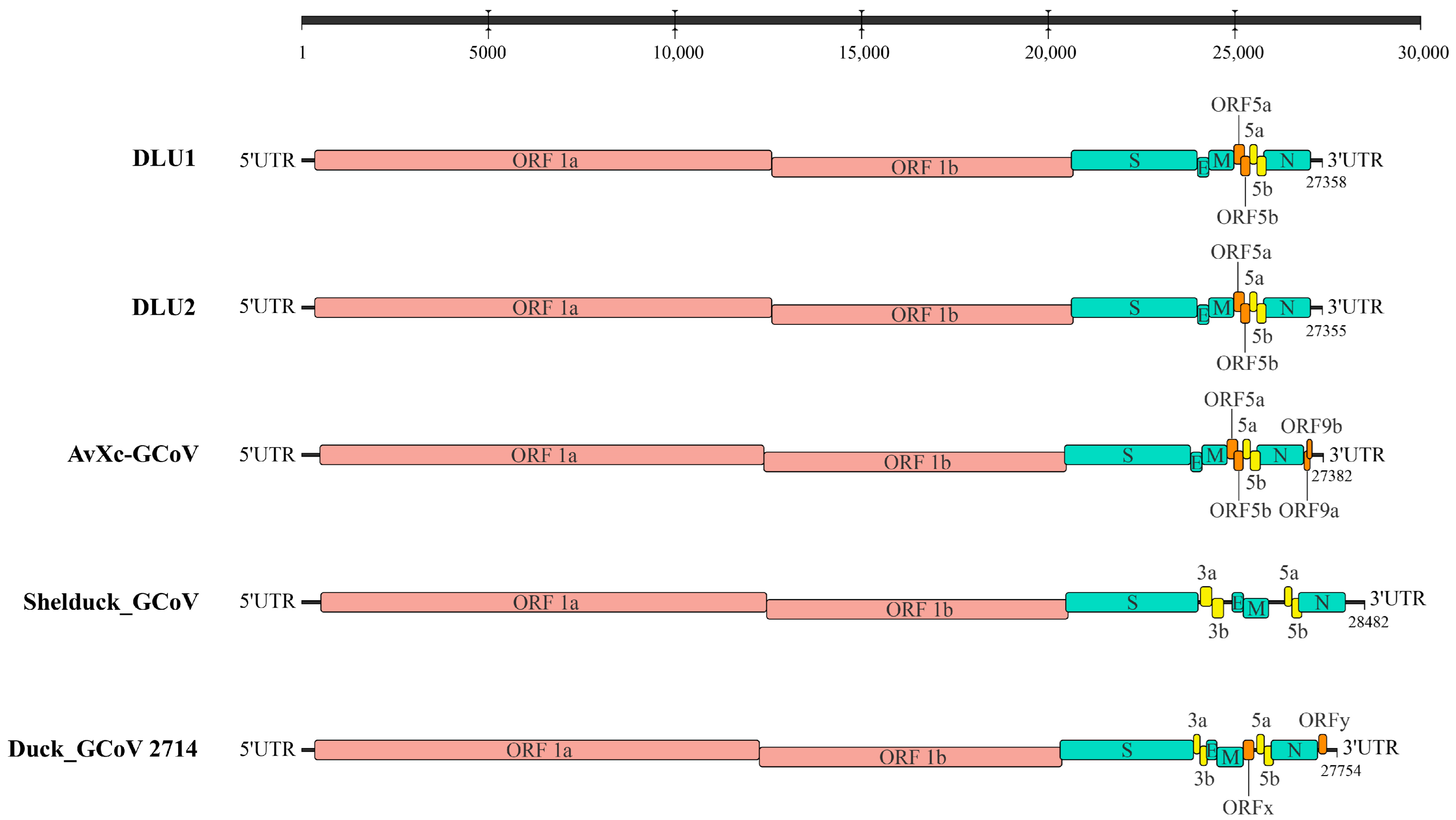 Microorganisms 13 00874 g002