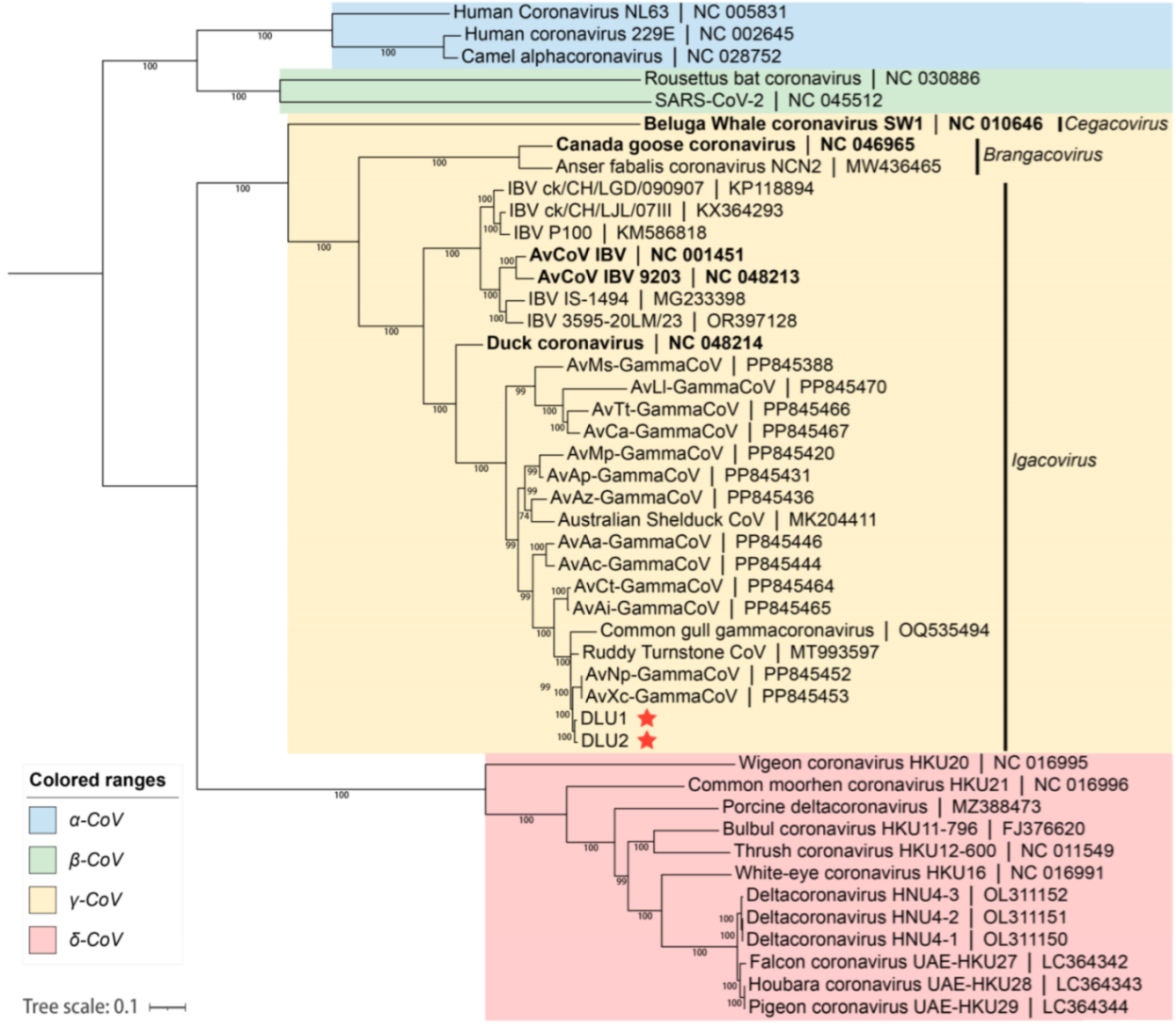 Microorganisms 13 00874 g004