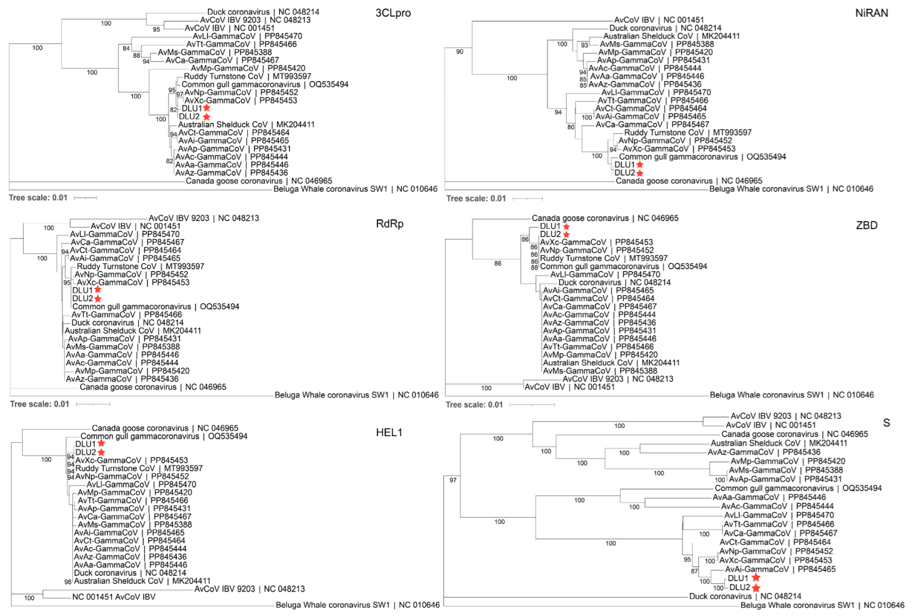 Microorganisms 13 00874 g005