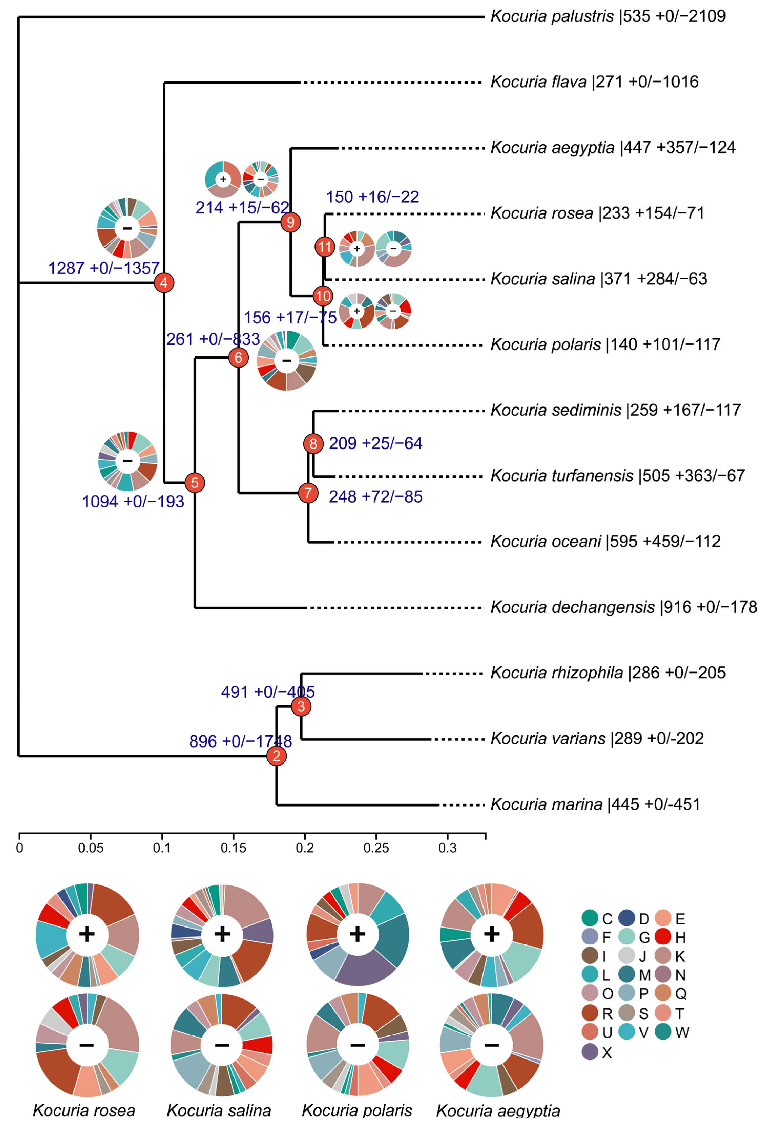 Microorganisms 13 00875 g002