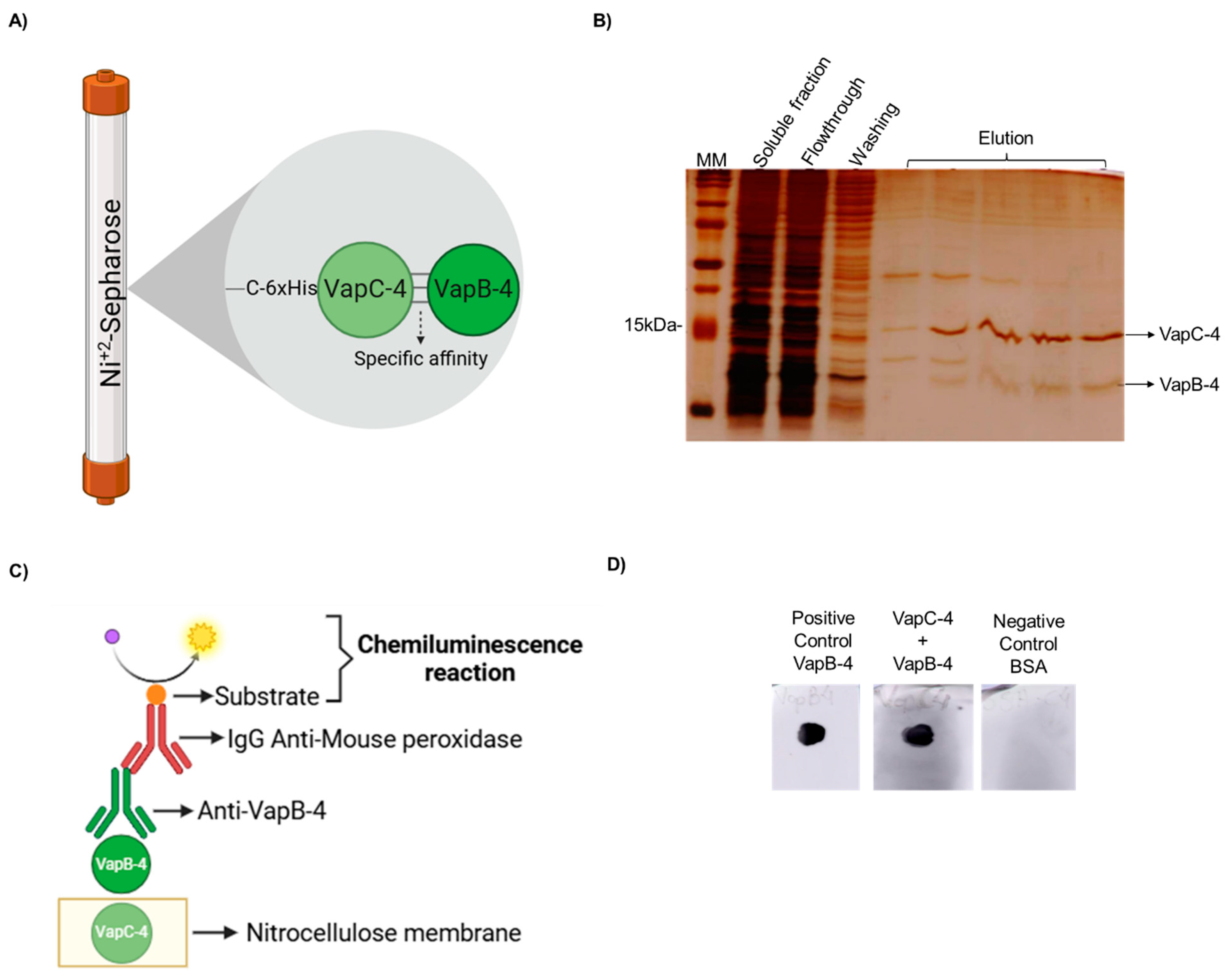 Microorganisms 13 00879 g005