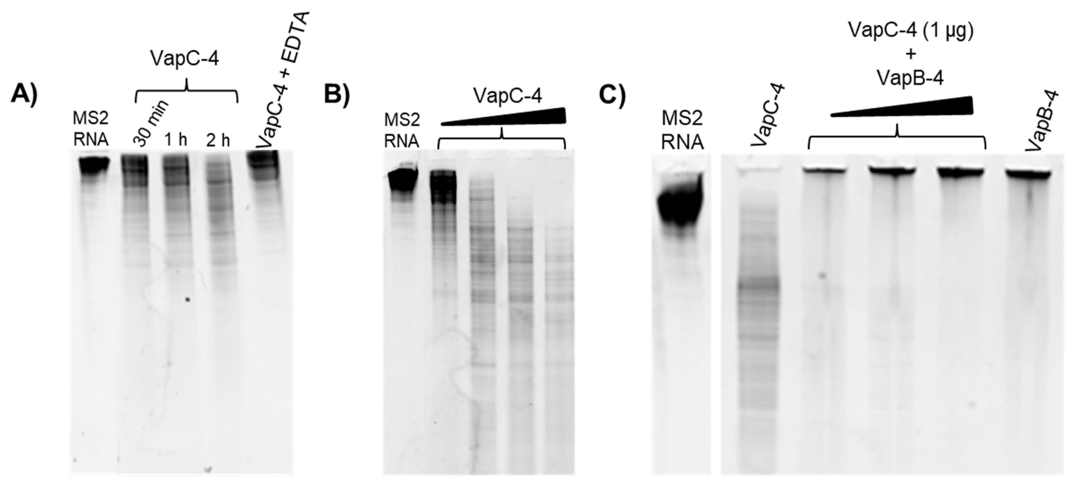 Microorganisms 13 00879 g006