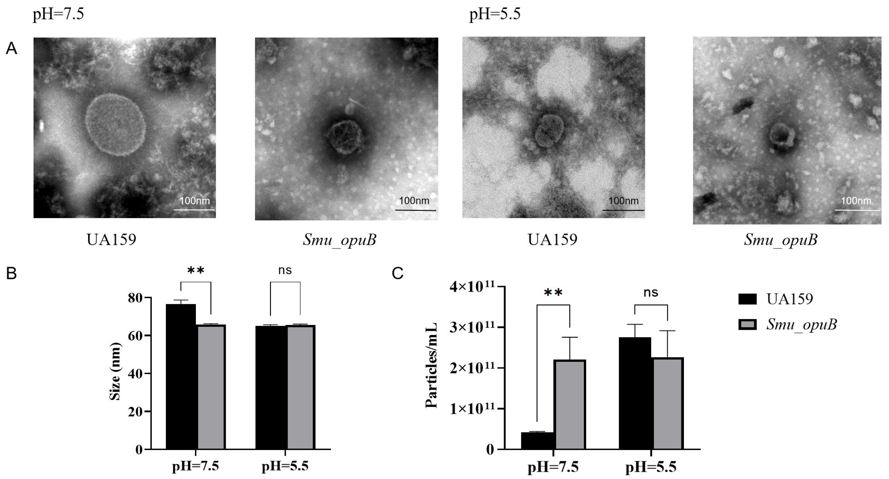 Microorganisms 13 00884 g001