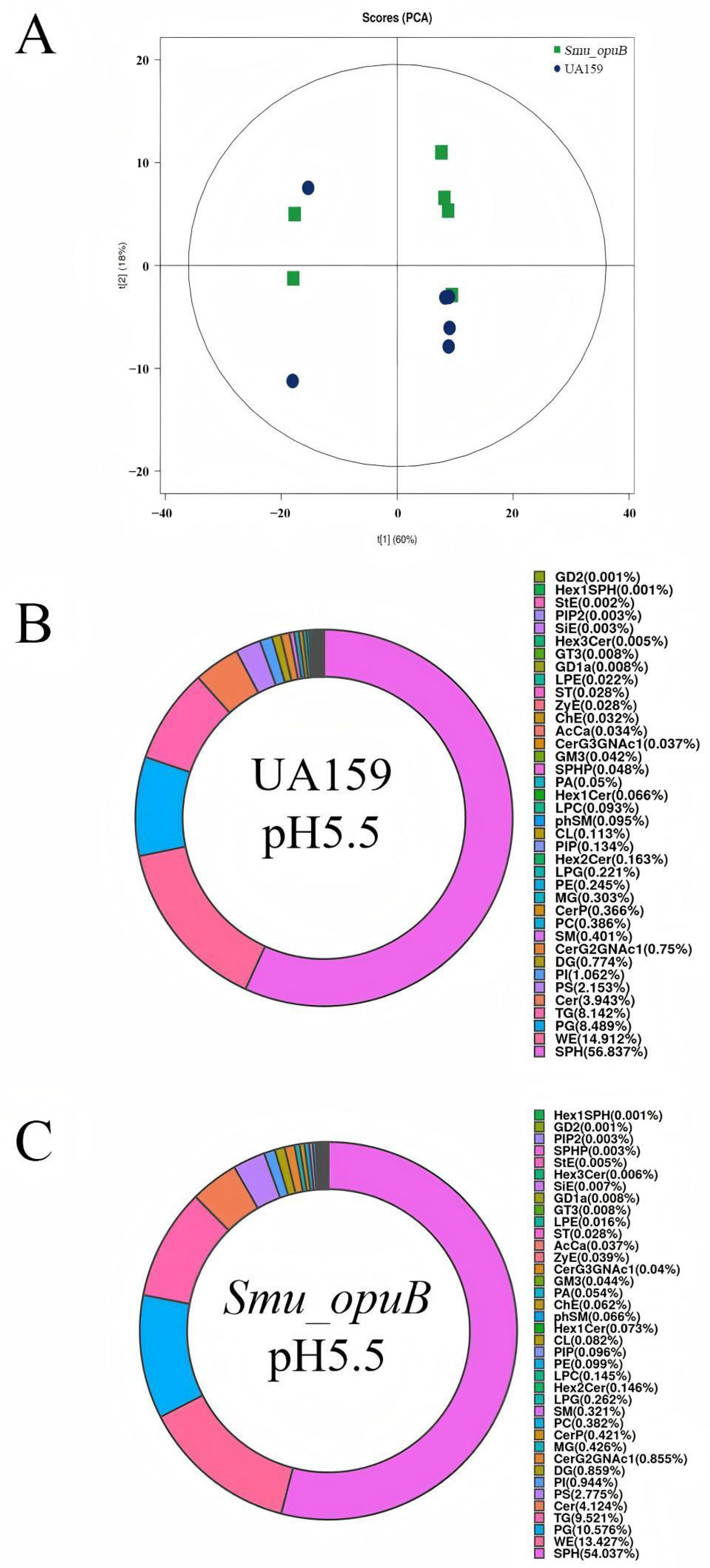 Microorganisms 13 00884 g003