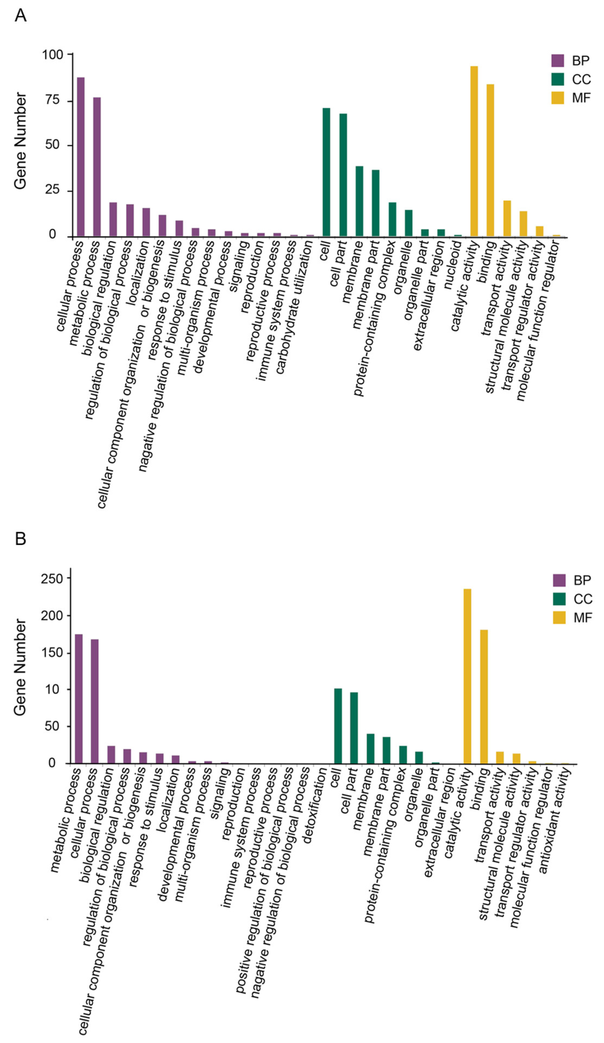 Microorganisms 13 00884 g008