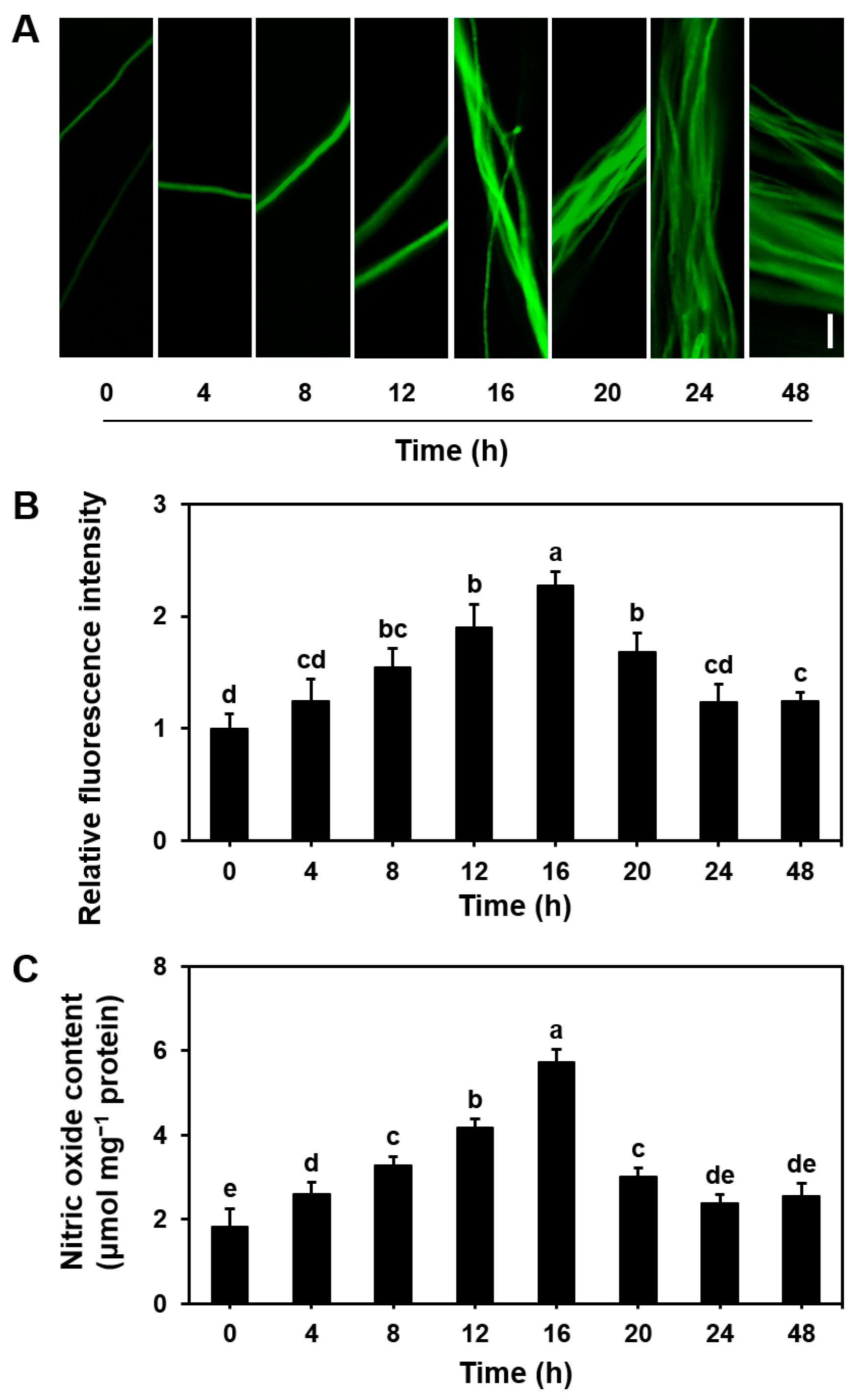 Microorganisms 13 00887 g001