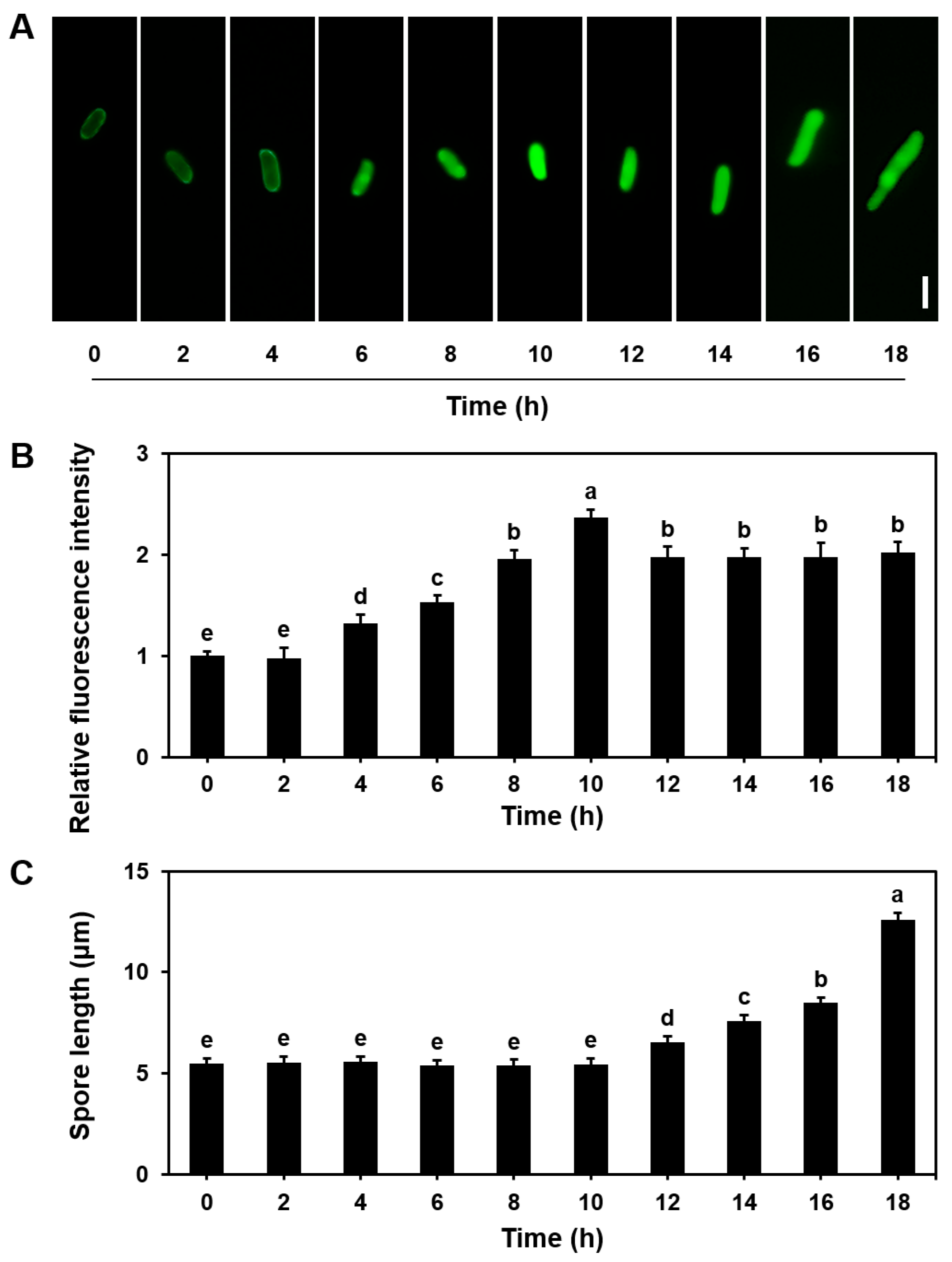 Microorganisms 13 00887 g002