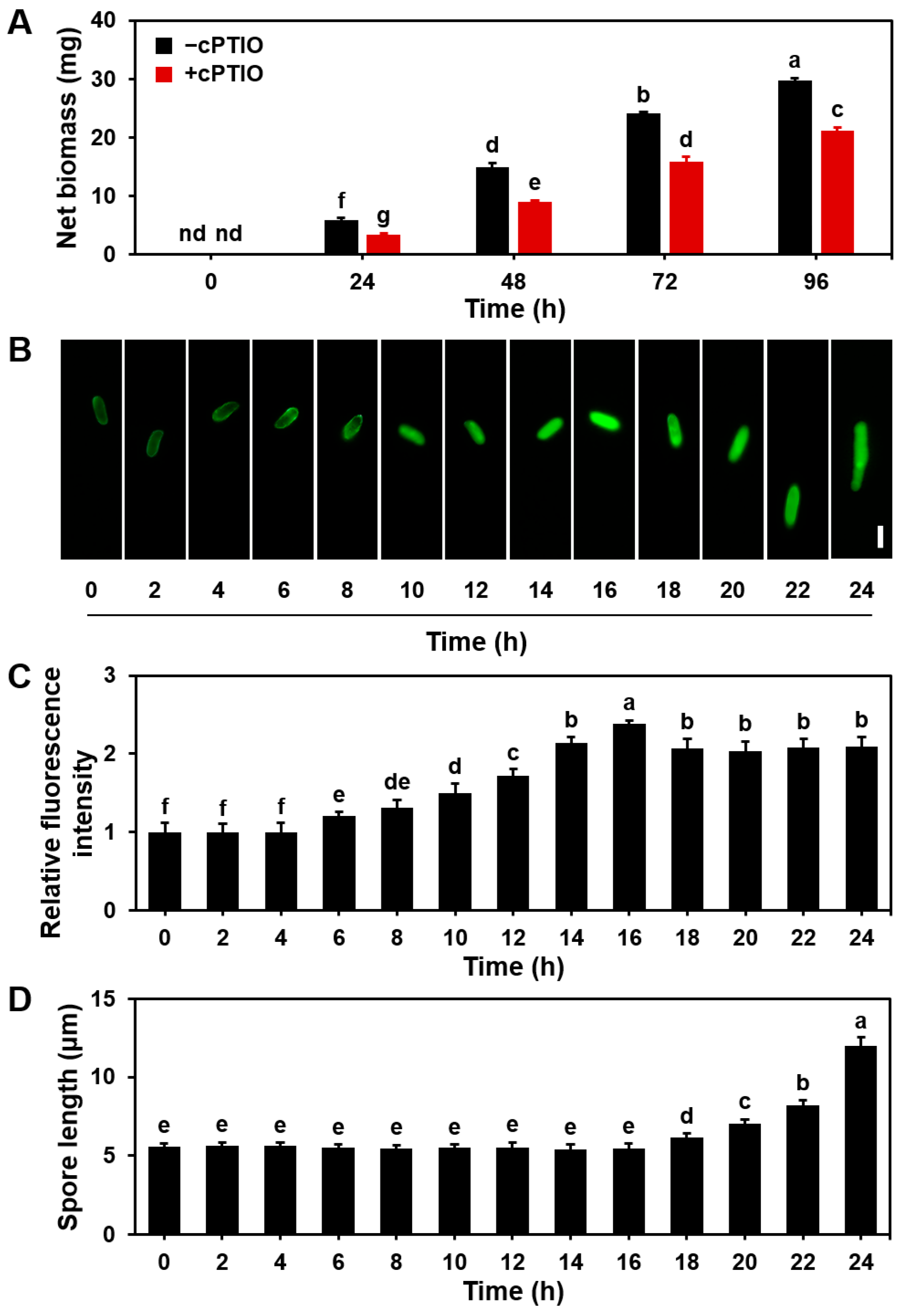 Microorganisms 13 00887 g003