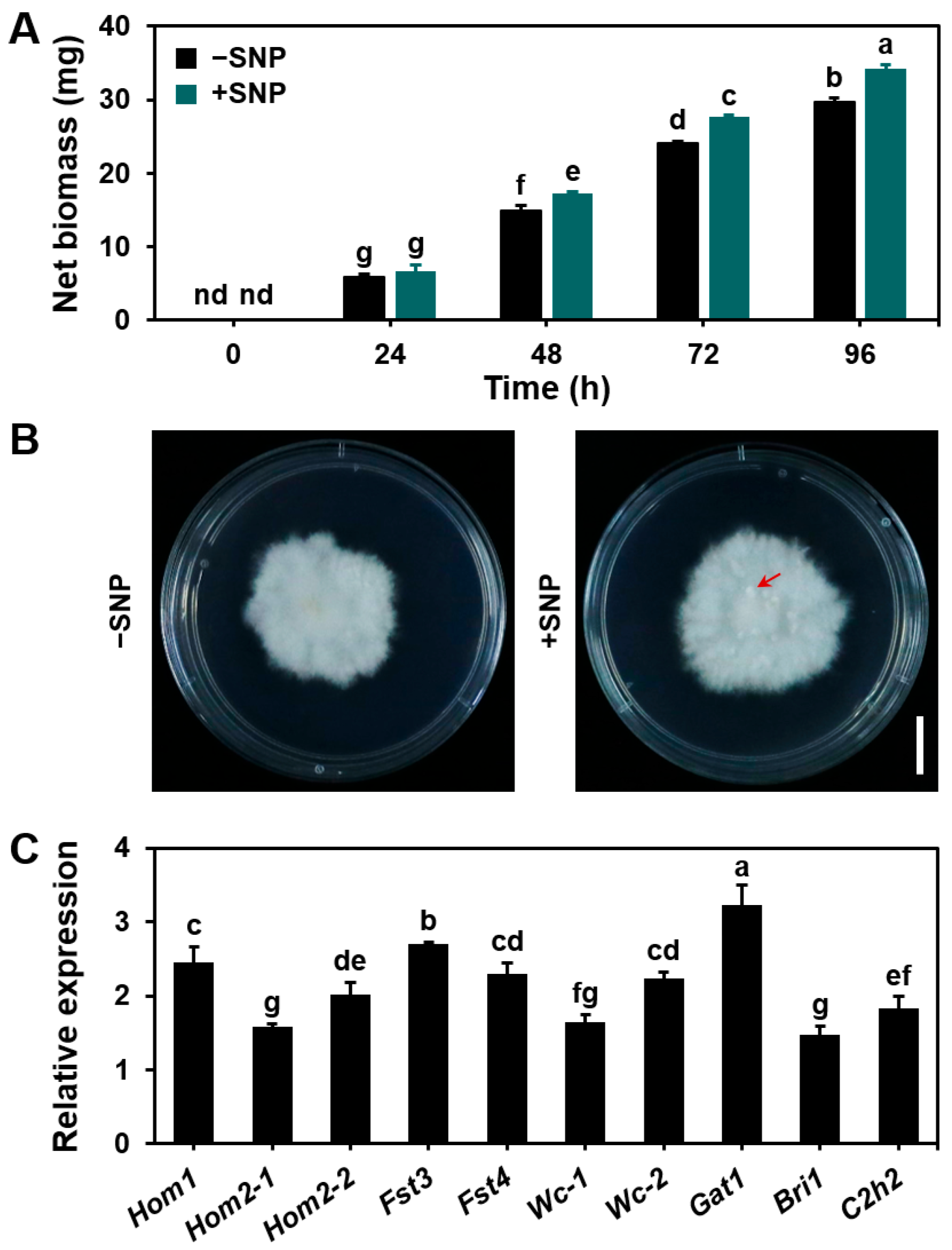Microorganisms 13 00887 g005
