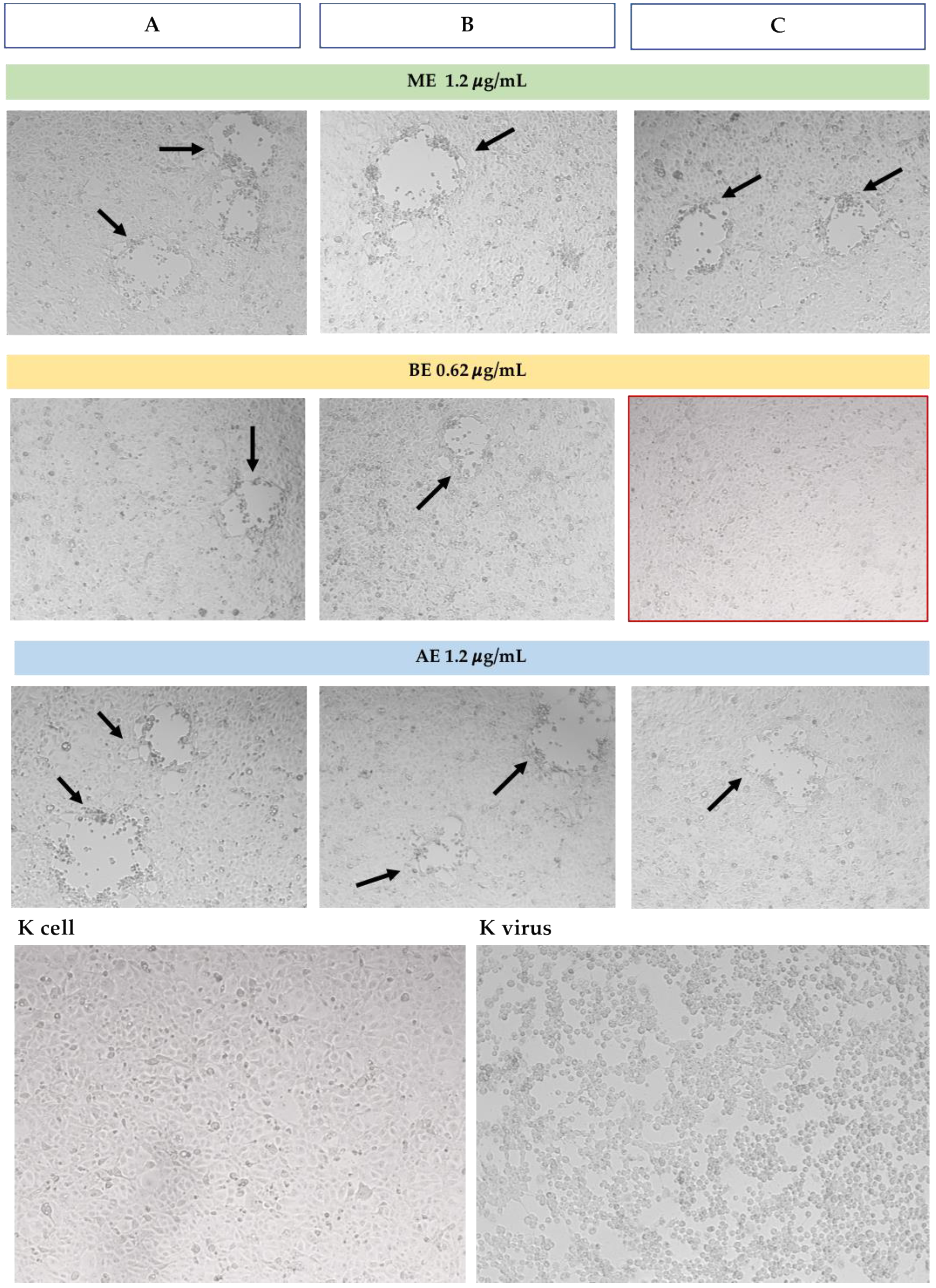 Microorganisms 13 00891 g003