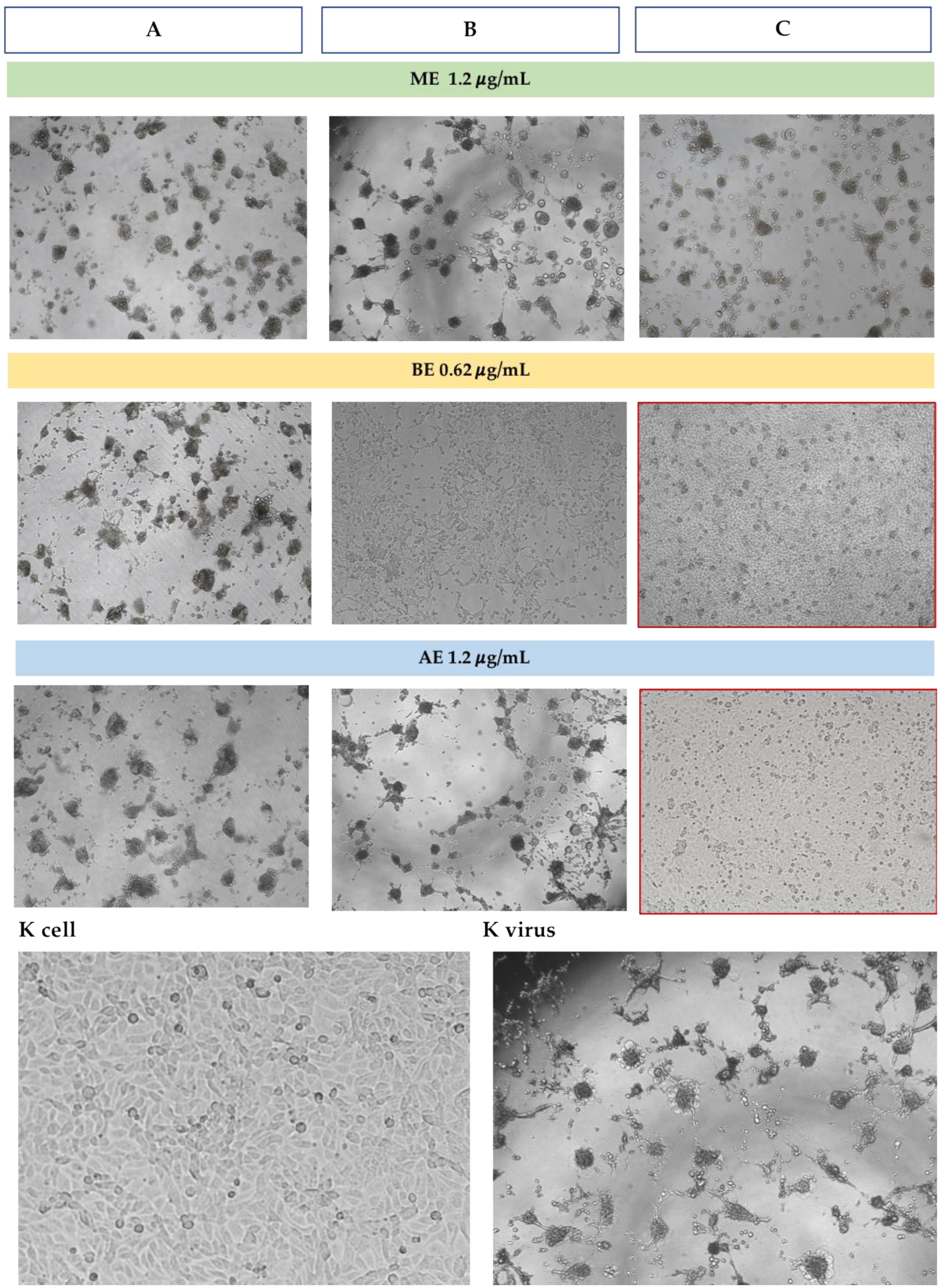 Microorganisms 13 00891 g007