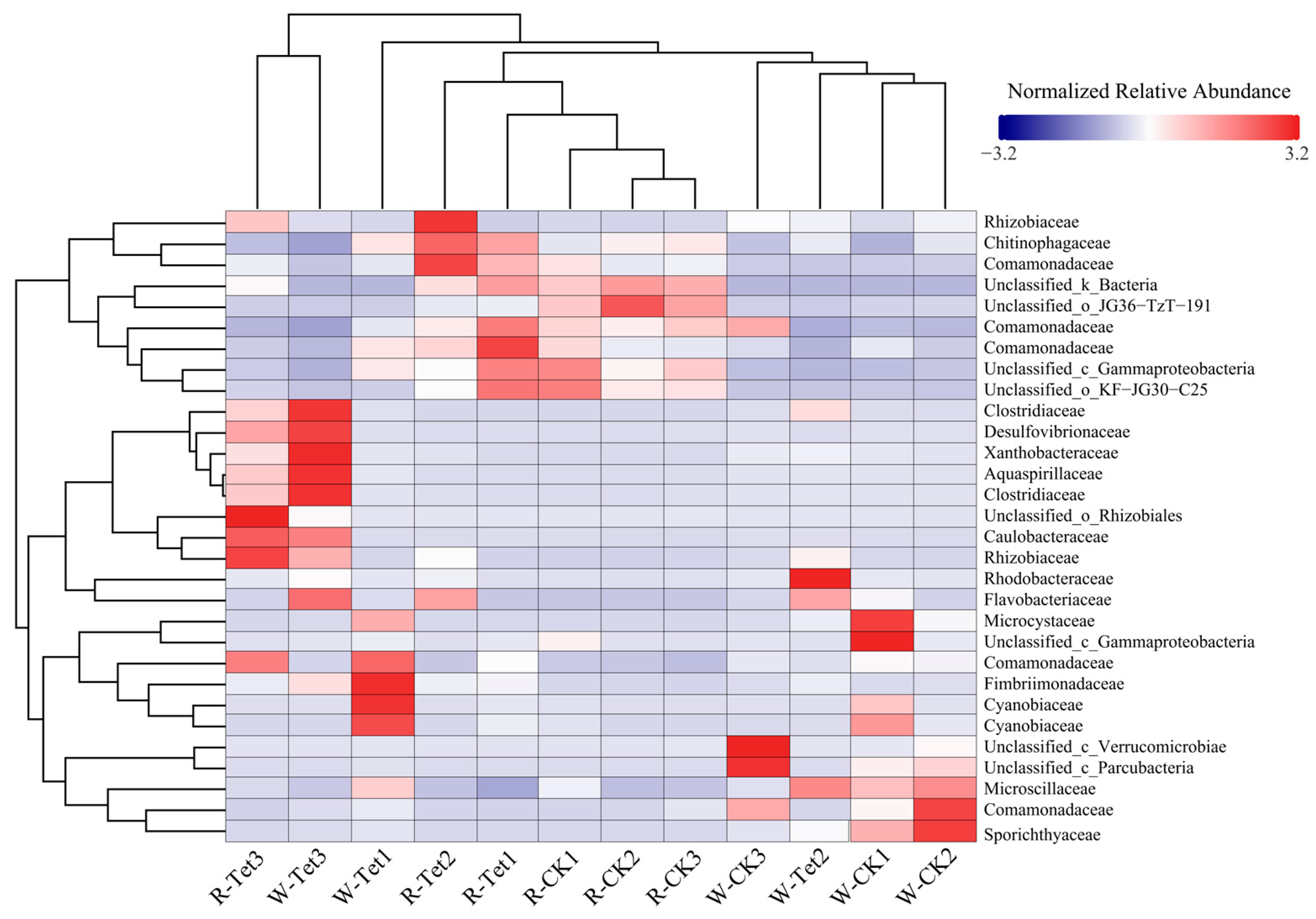 Microorganisms 13 00893 g008