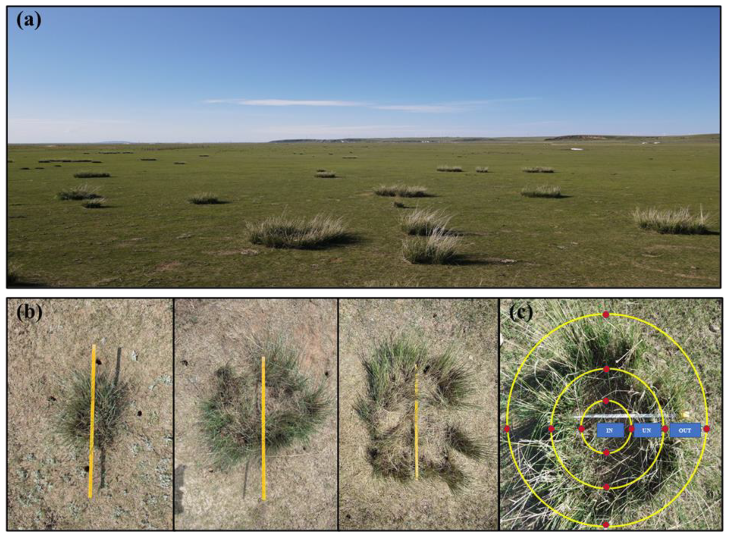 Microorganisms 13 00894 g001